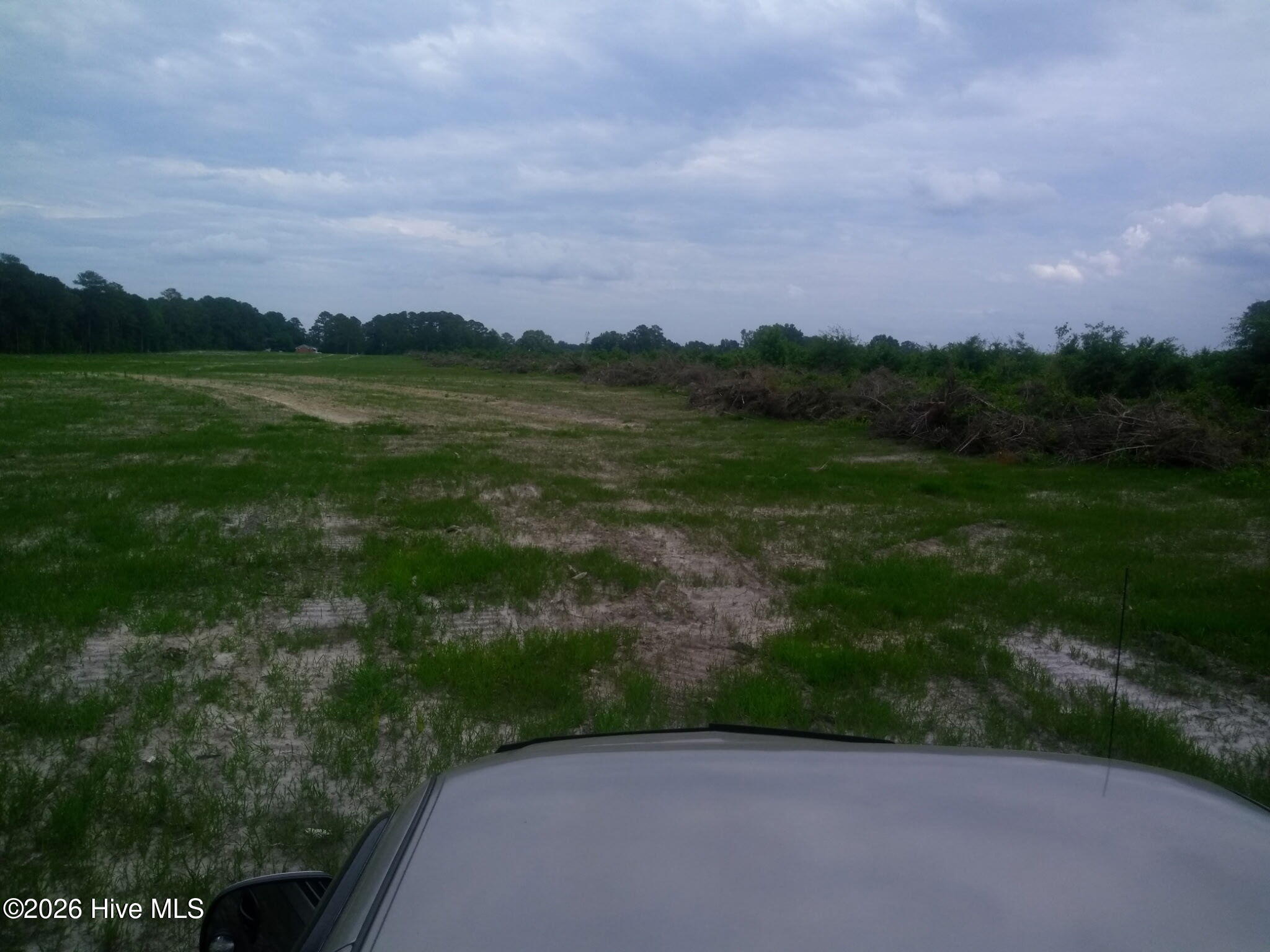Tbd Pridgen Dead End Road Property Photo 4
