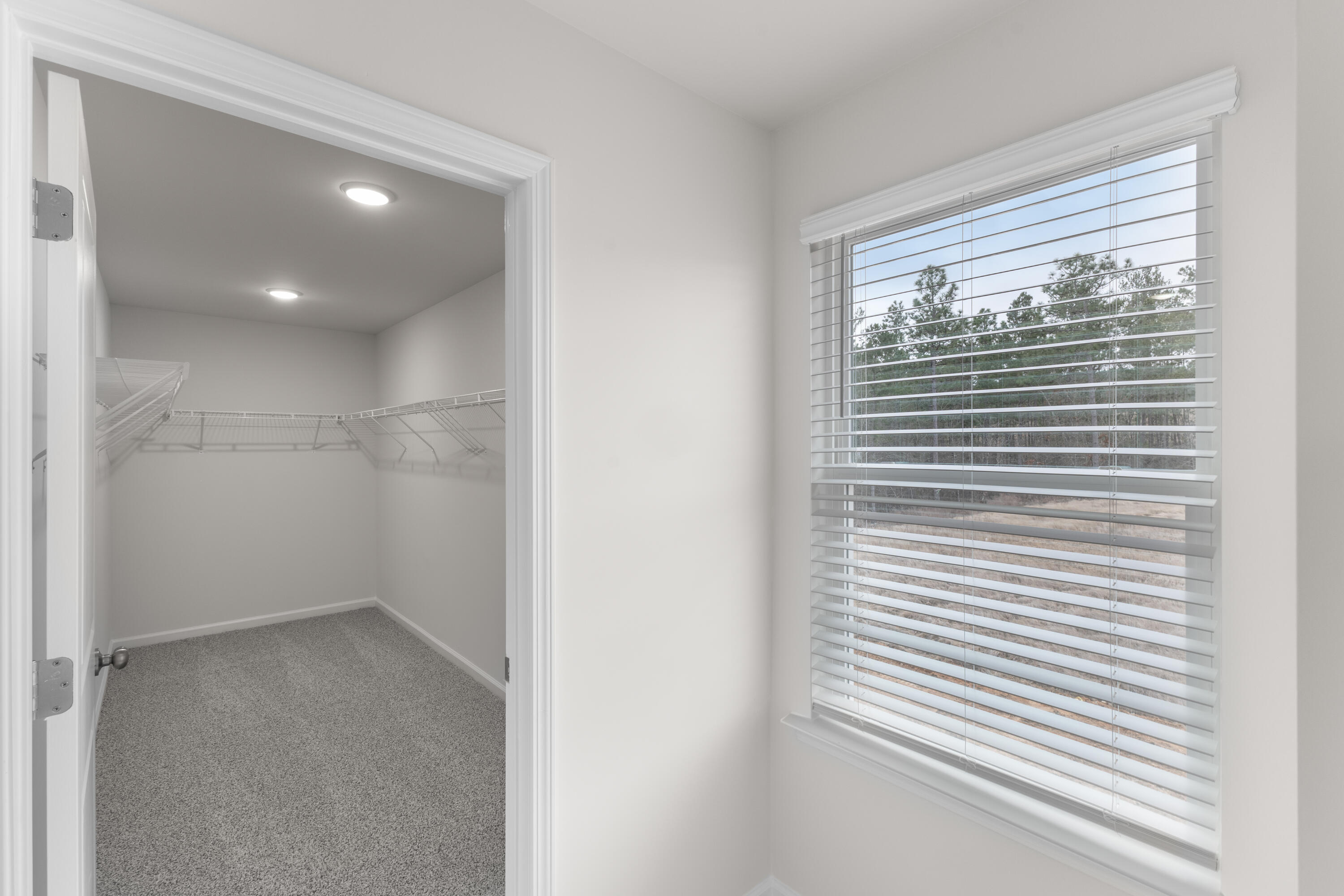 298 Balbriggan Place Property Photo 19