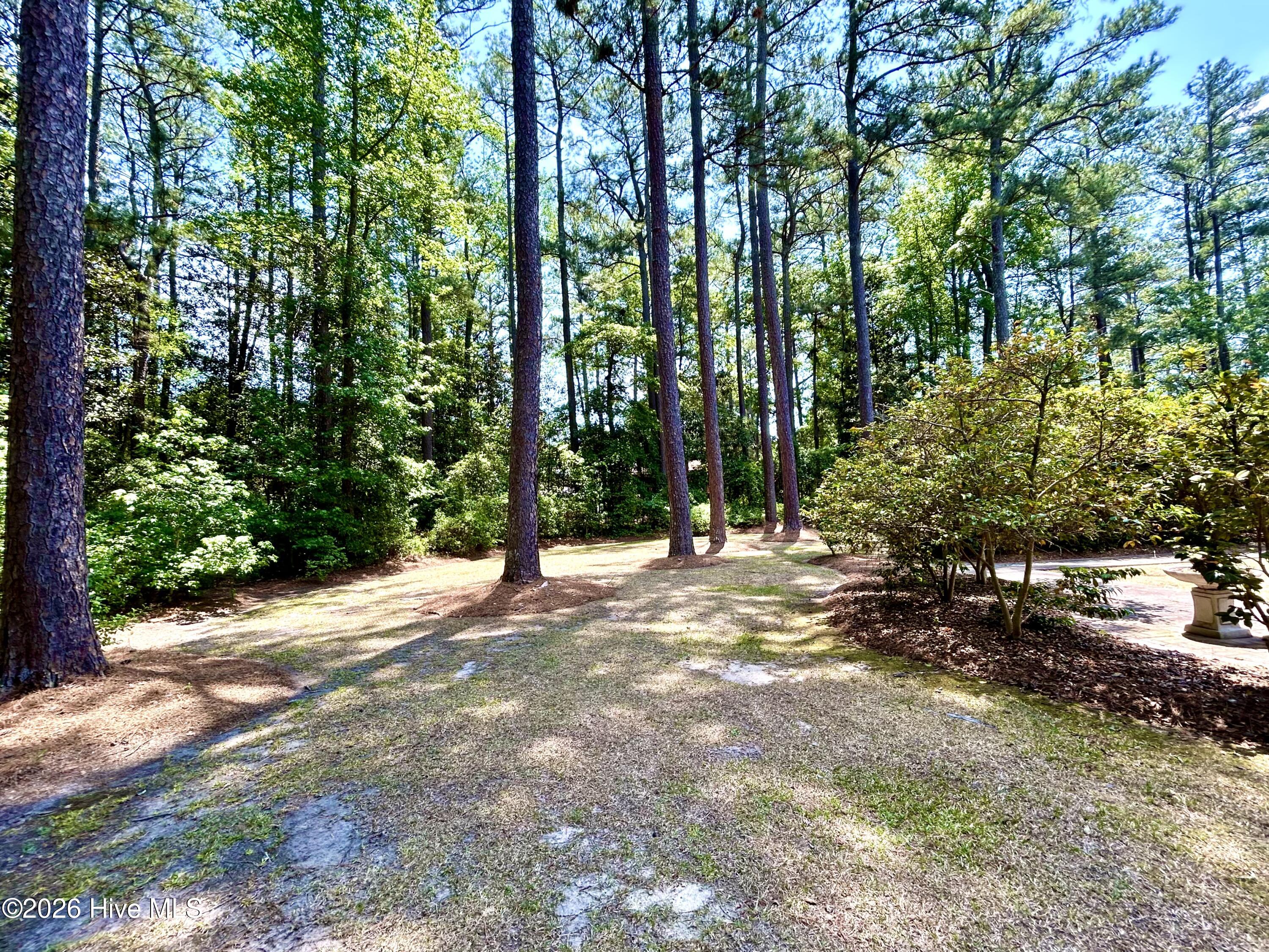 1304 Franklin Avenue Property Photo 77