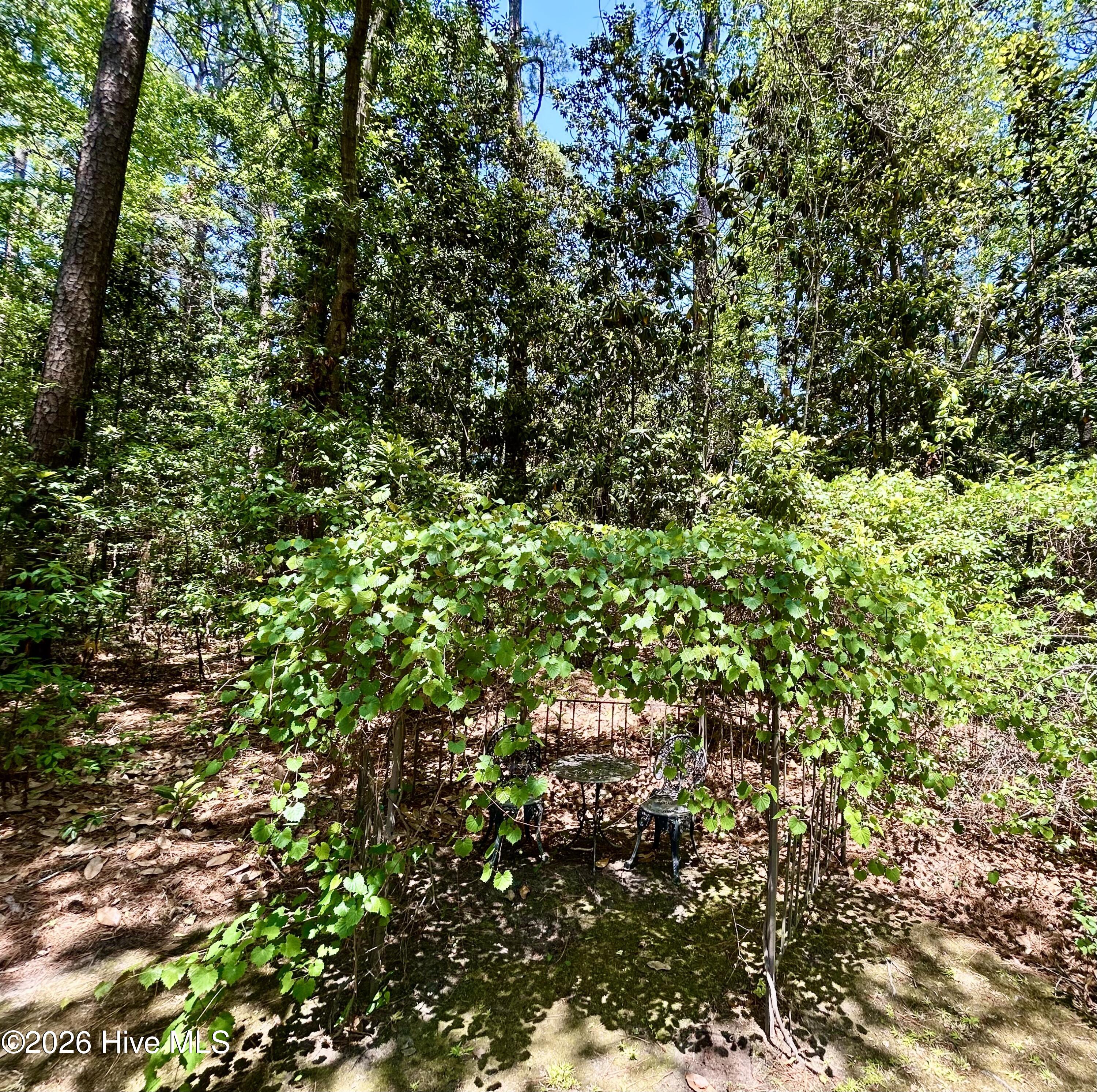 1304 Franklin Avenue Property Photo 81