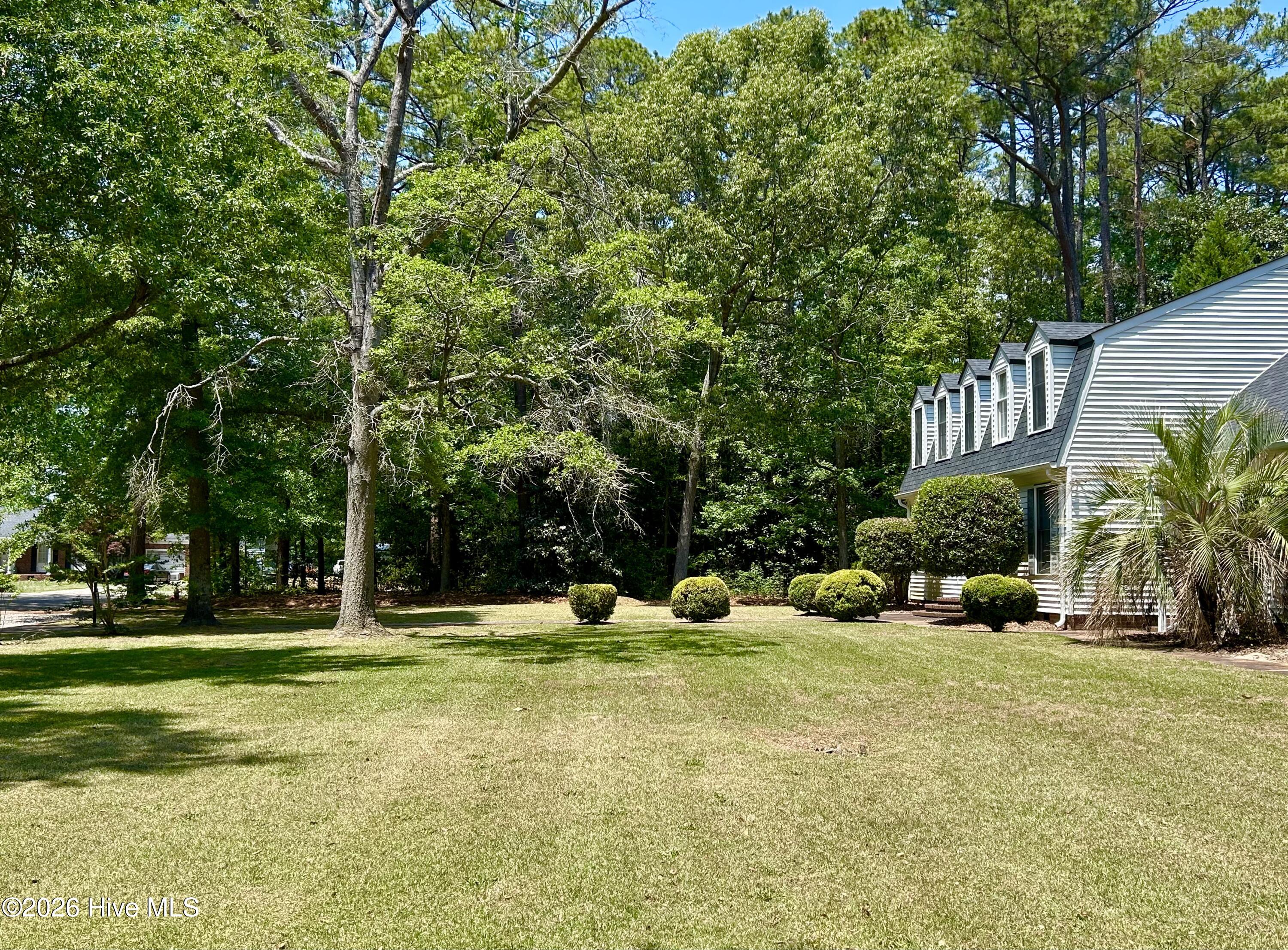 1304 Franklin Avenue Property Photo 94