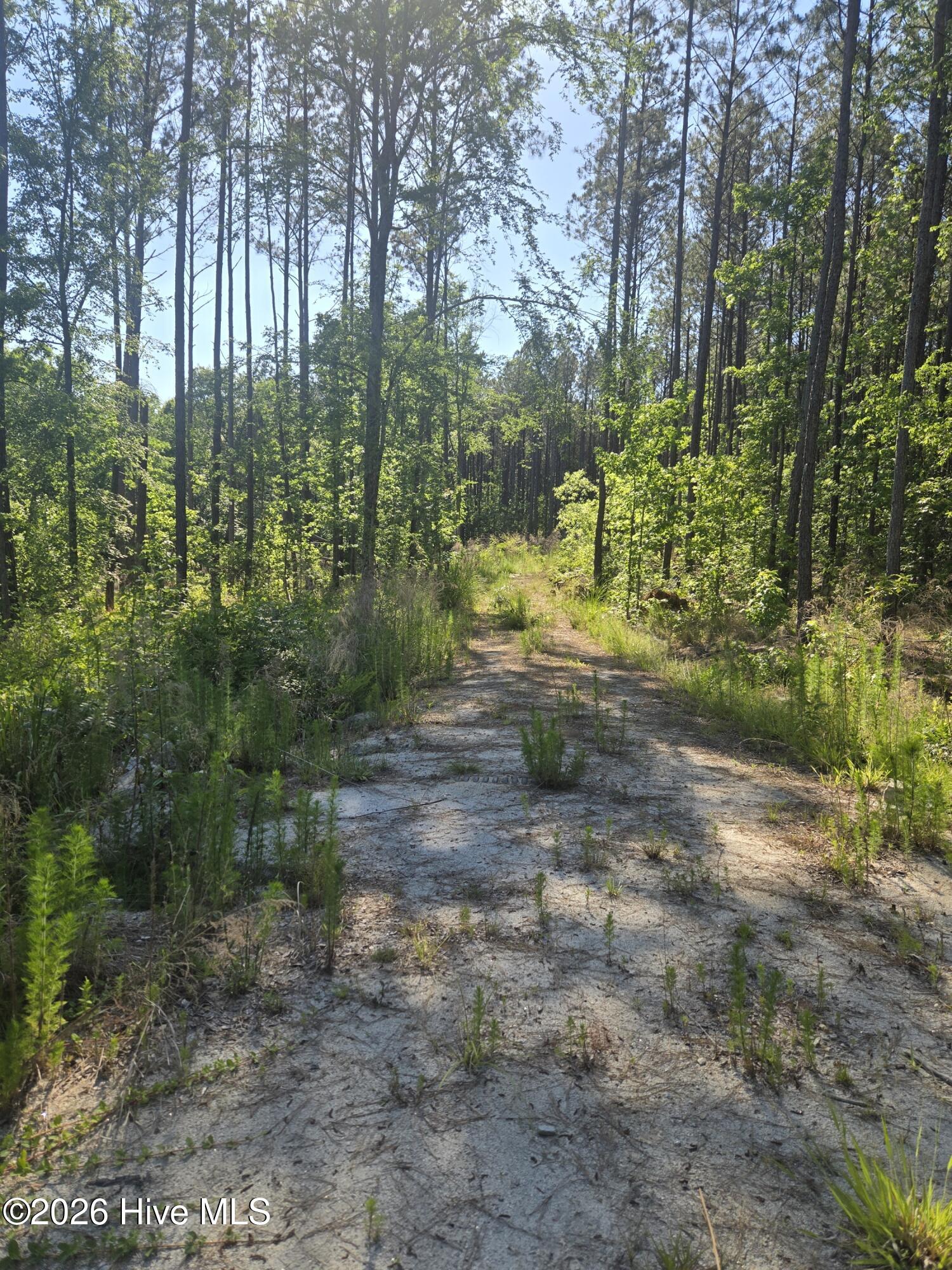1048 Serenity Pointe Drive Property Photo 1