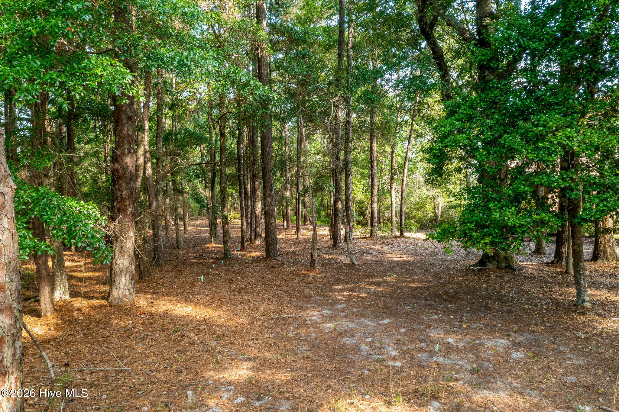 1837 119 Harbour Edge Lane Sw Property Photo 20