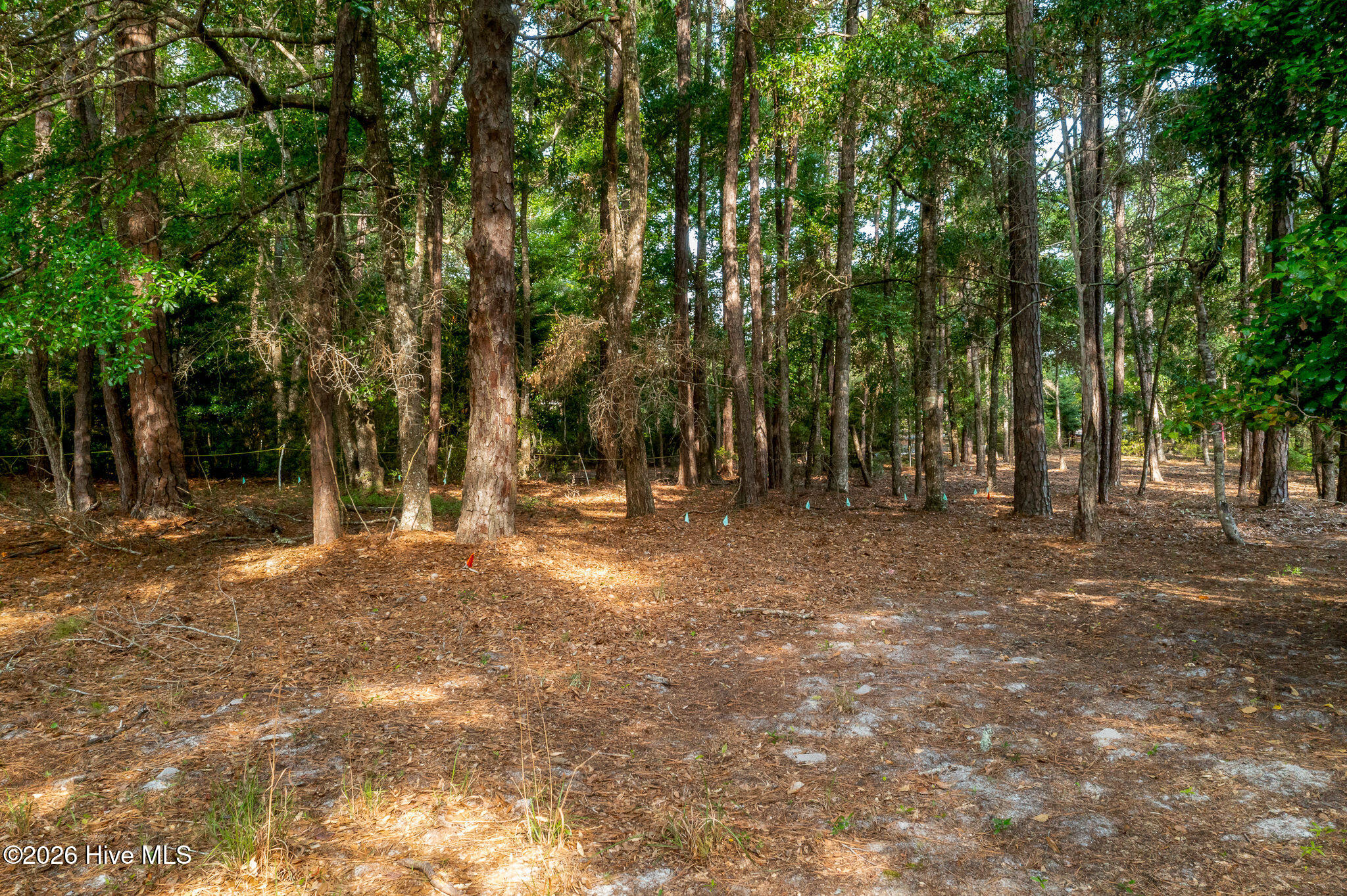 1837 119 Harbour Edge Lane Sw Property Photo 21