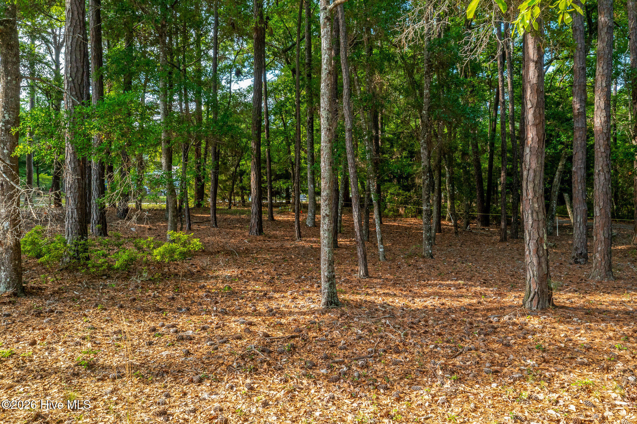 1837 119 Harbour Edge Lane Sw Property Photo 23