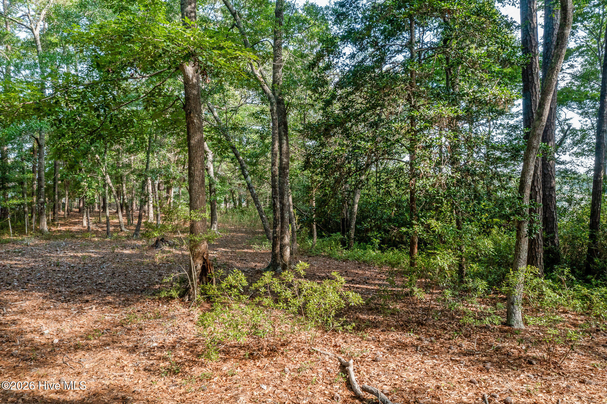 1837 119 Harbour Edge Lane Sw Property Photo 24
