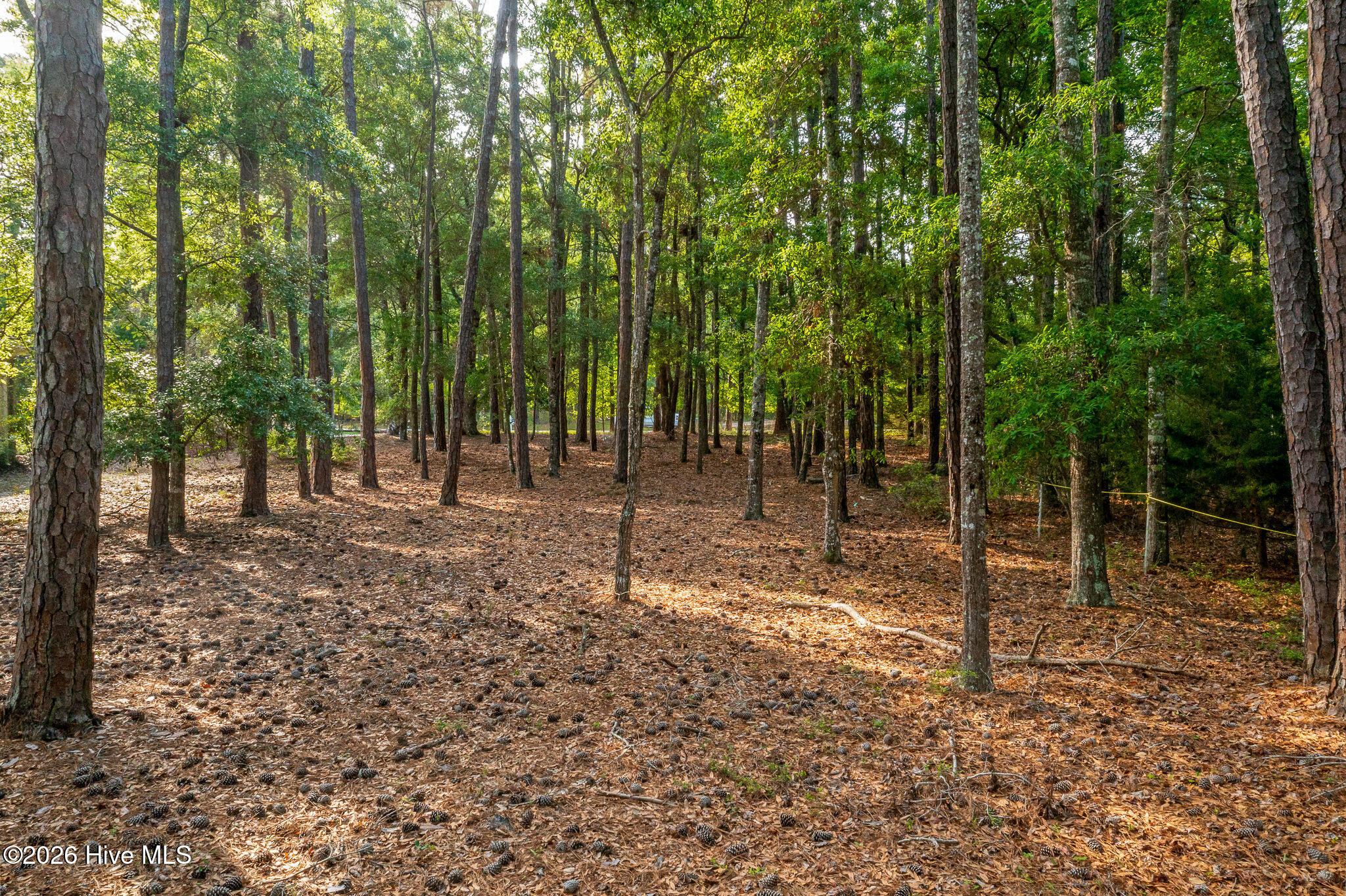 1837 119 Harbour Edge Lane Sw Property Photo 25