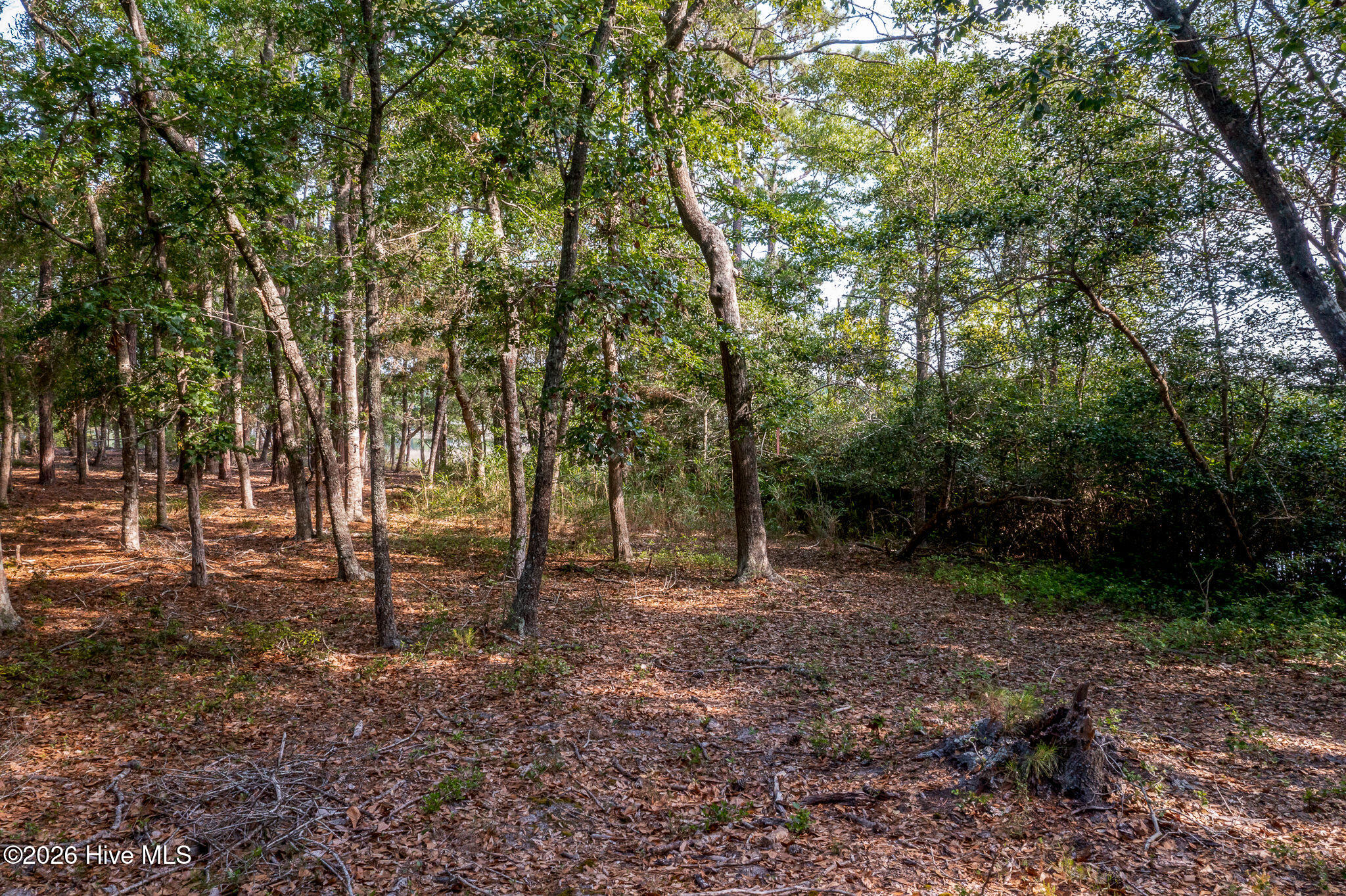 1837 119 Harbour Edge Lane Sw Property Photo 26