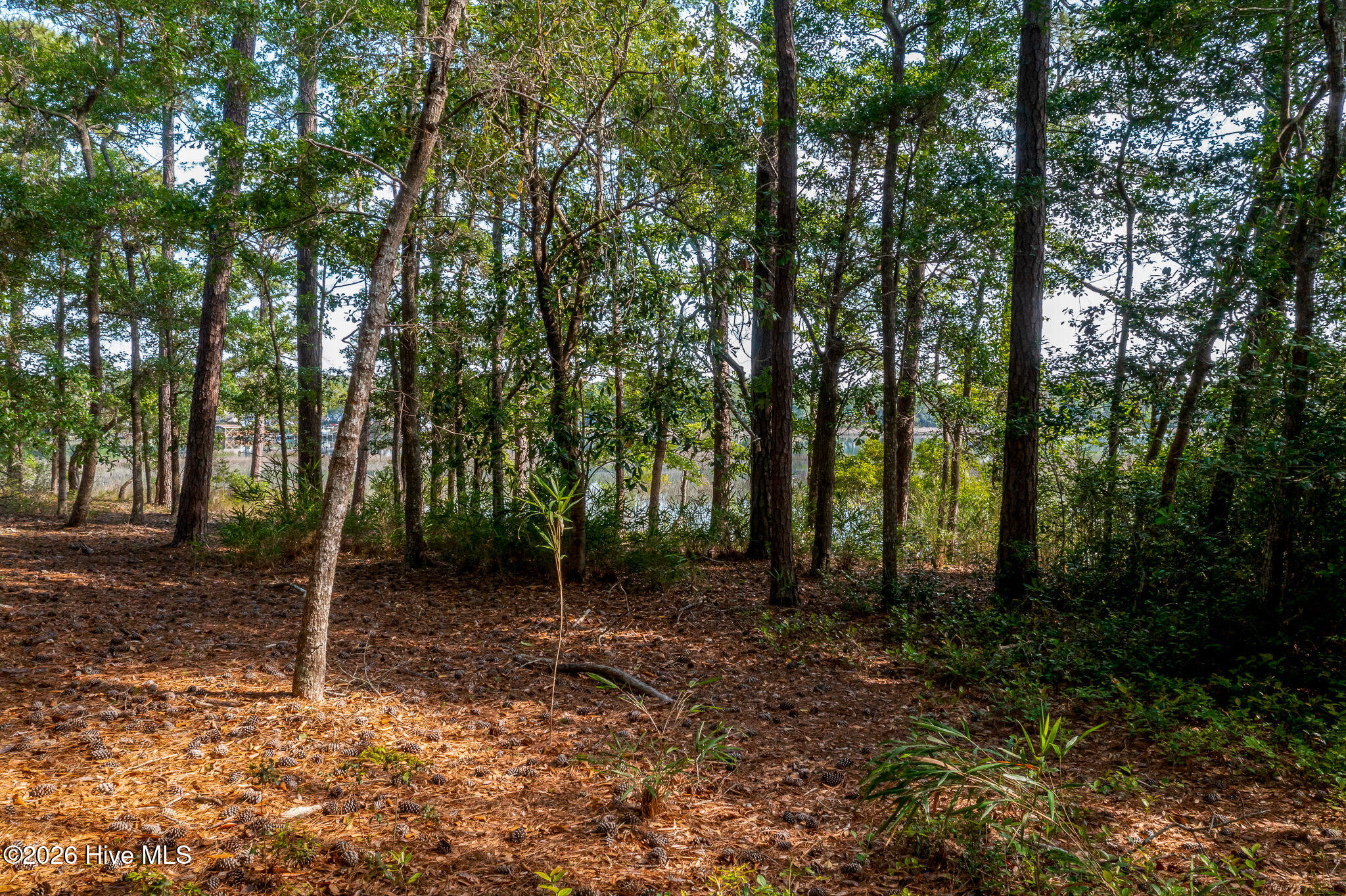 1837 119 Harbour Edge Lane Sw Property Photo 27