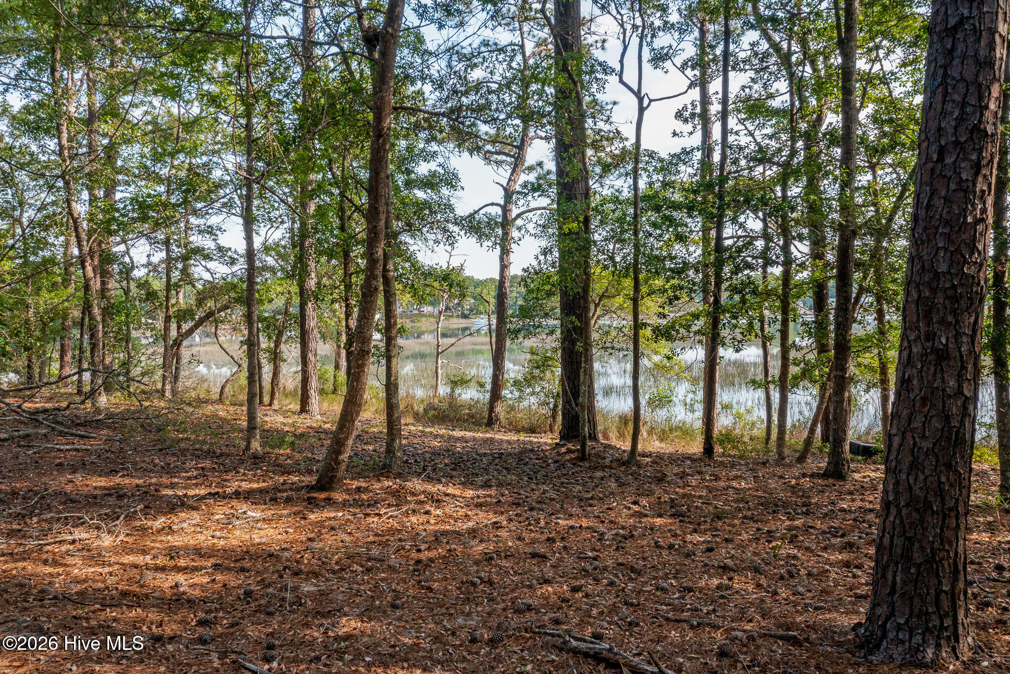1837 119 Harbour Edge Lane Sw Property Photo 28