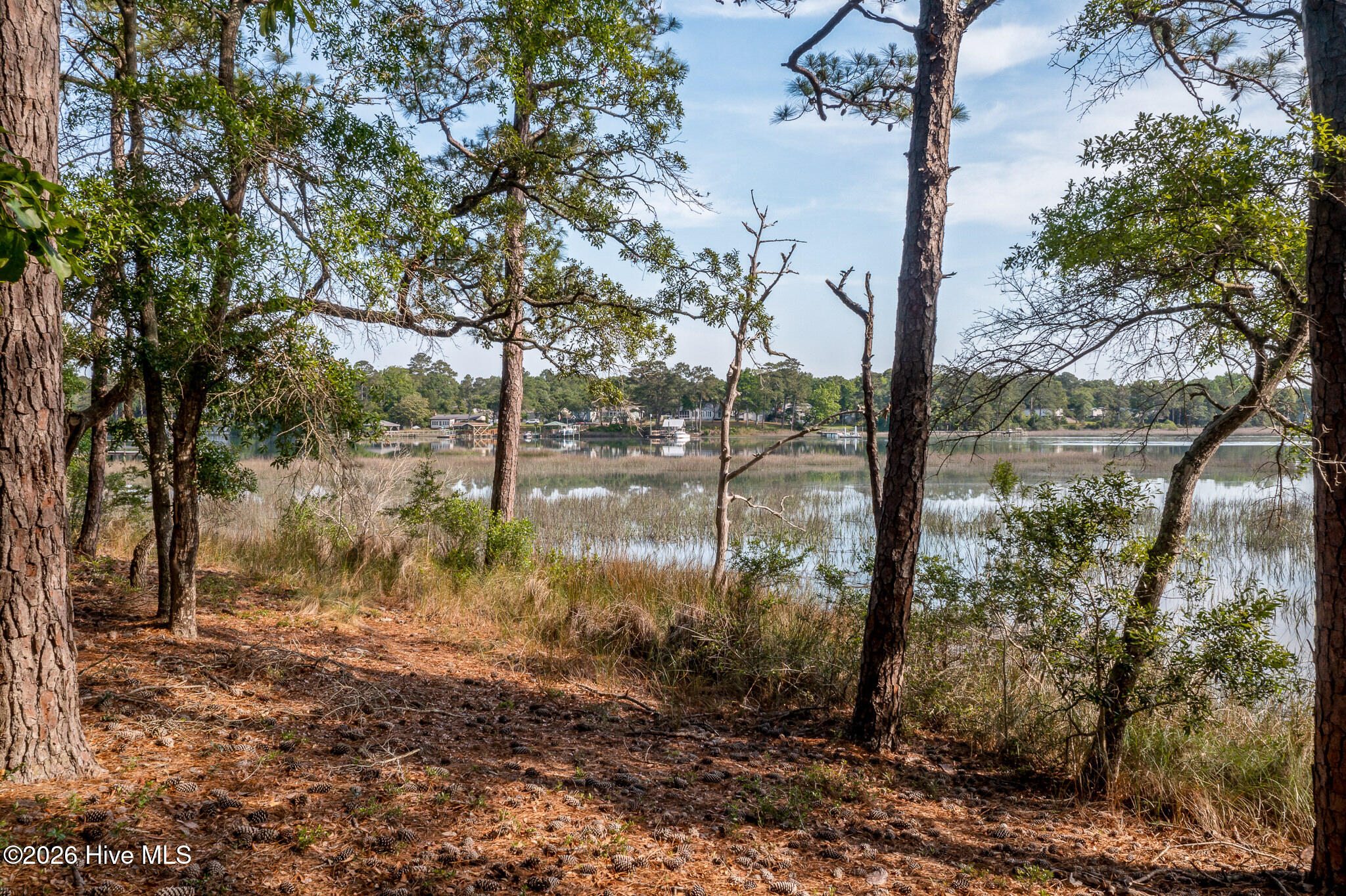 1837 119 Harbour Edge Lane Sw Property Photo 29