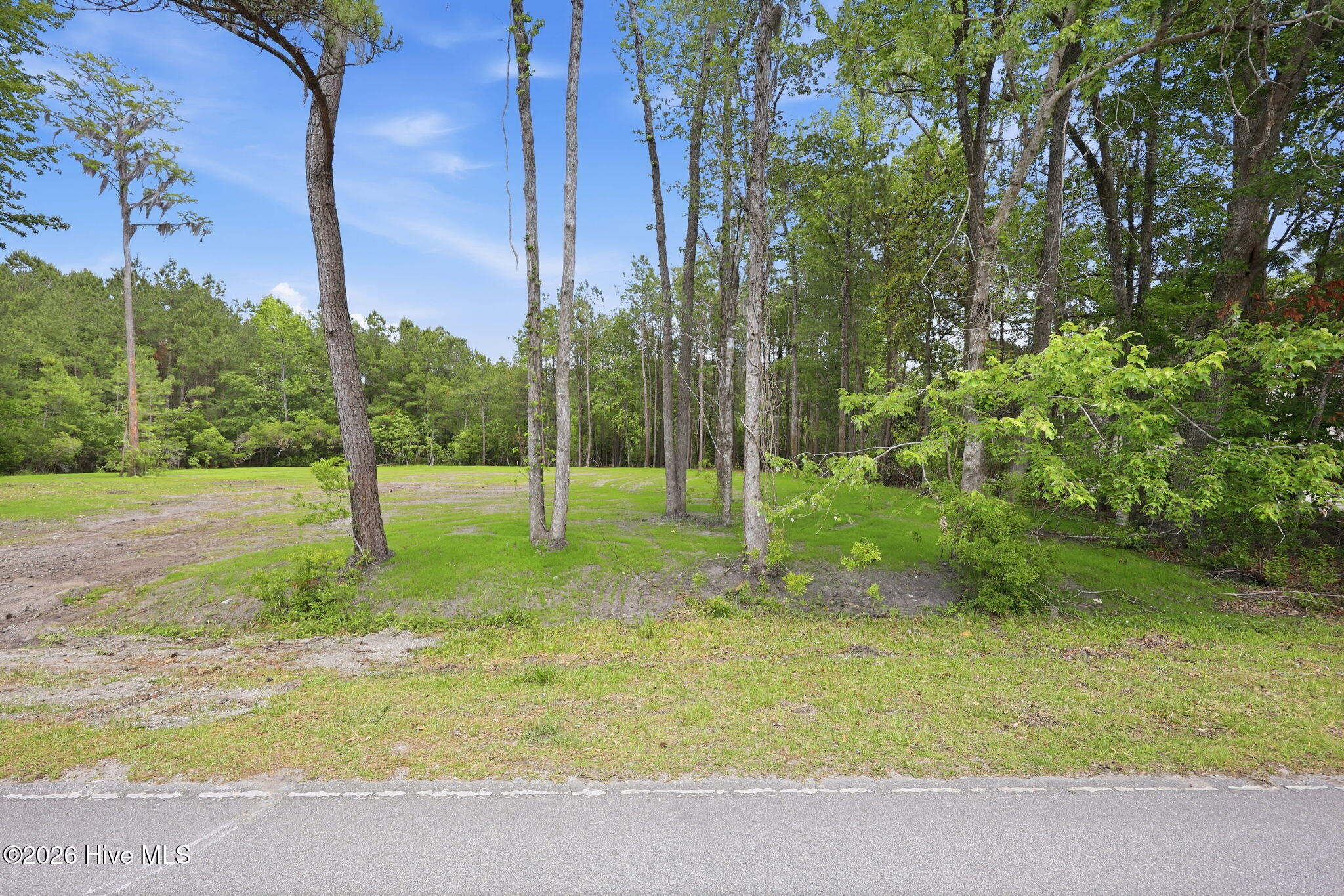 161 Trent Shores Drive Property Photo 2