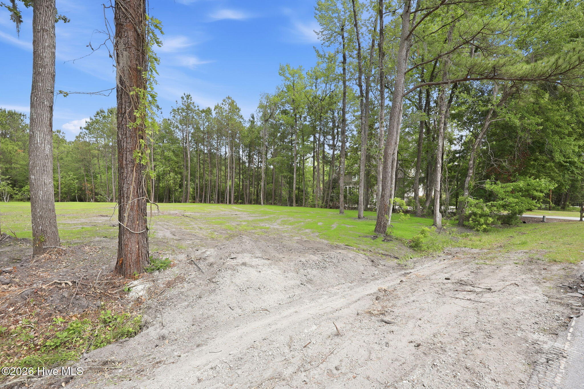 161 Trent Shores Drive Property Photo 3