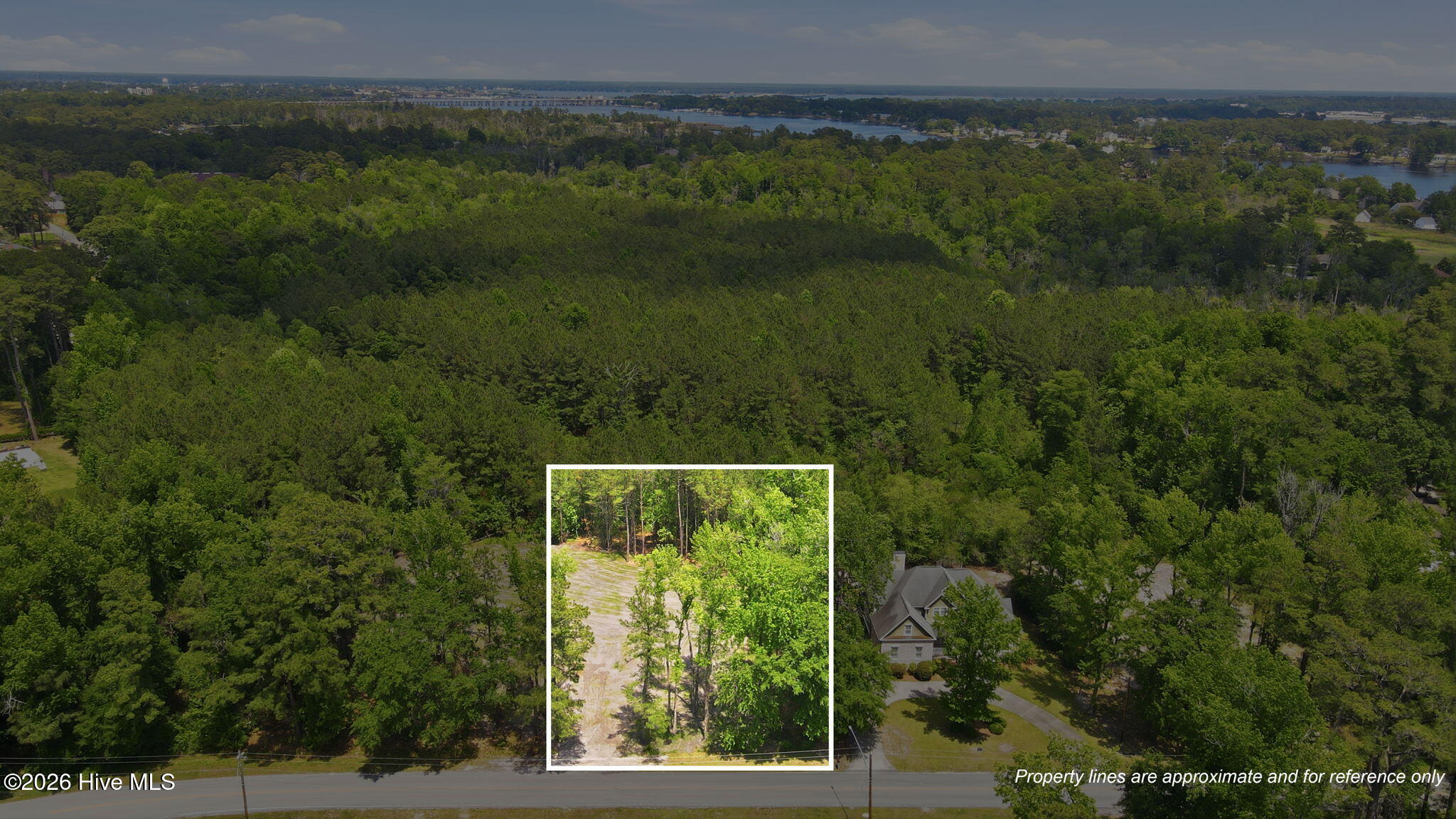 161 Trent Shores Drive Property Photo 4