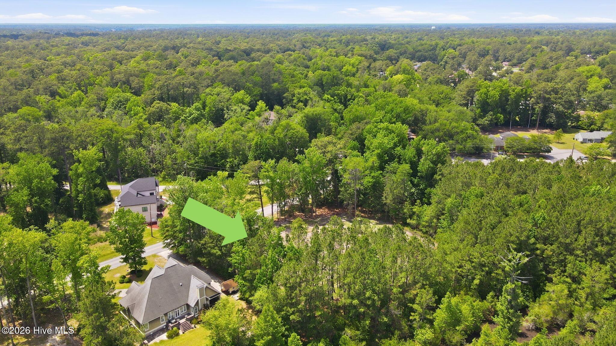161 Trent Shores Drive Property Photo 9