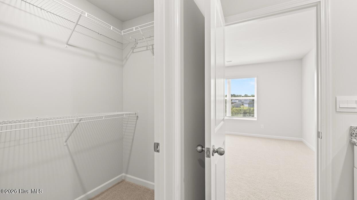 5191 Montana Loop Property Photo 28