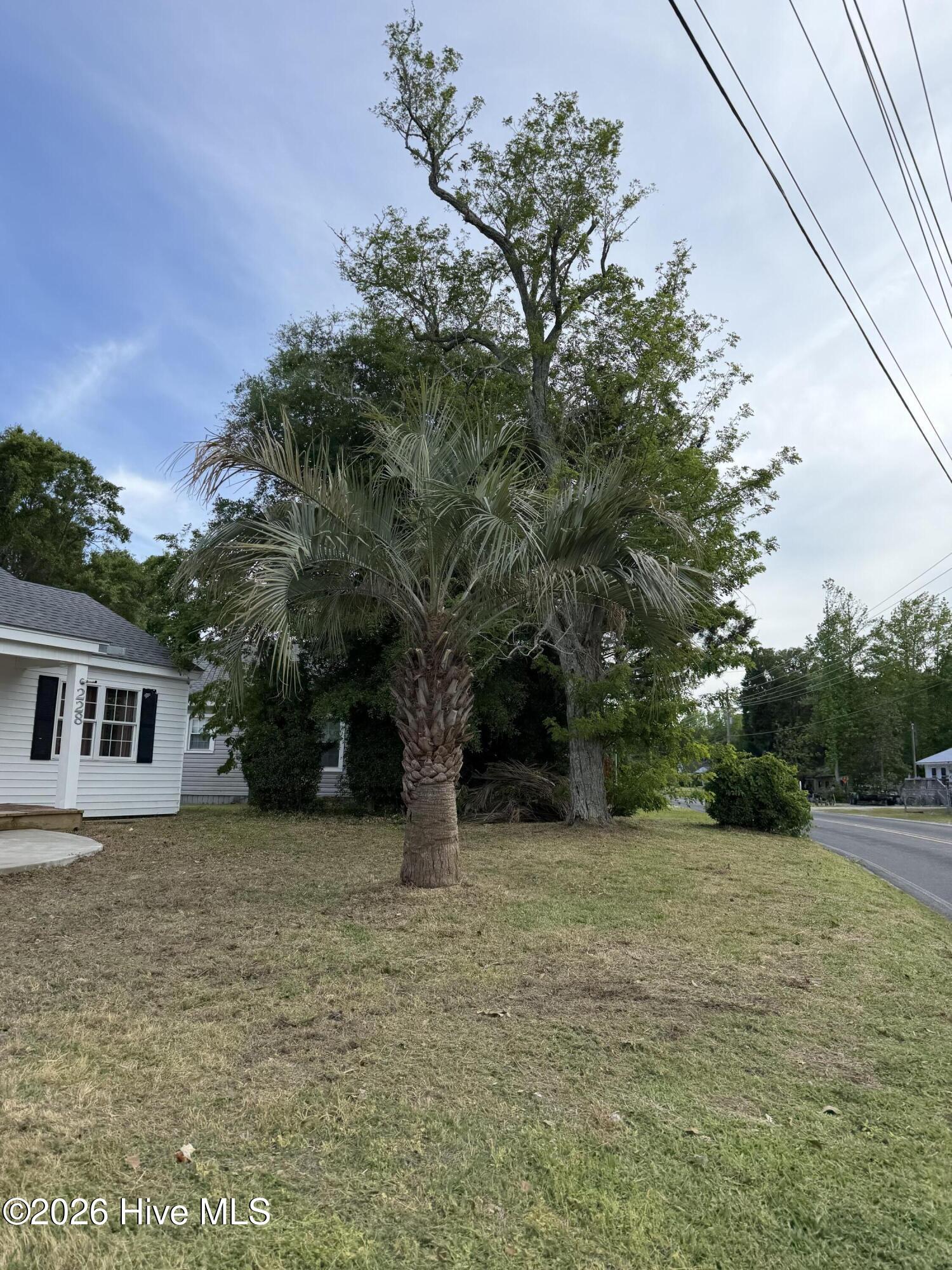 228 Fulcher Landing Road Property Photo 2