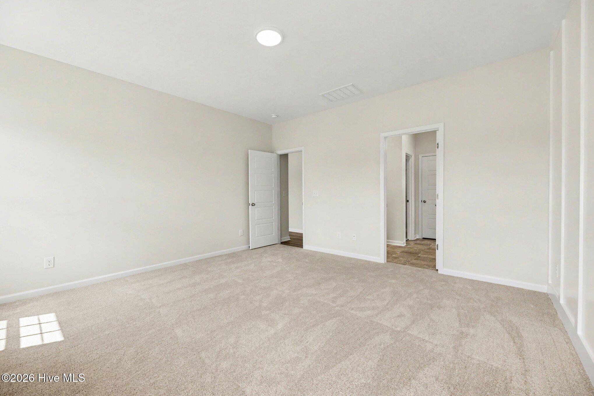 46 Fiddleneck Court Property Photo 16