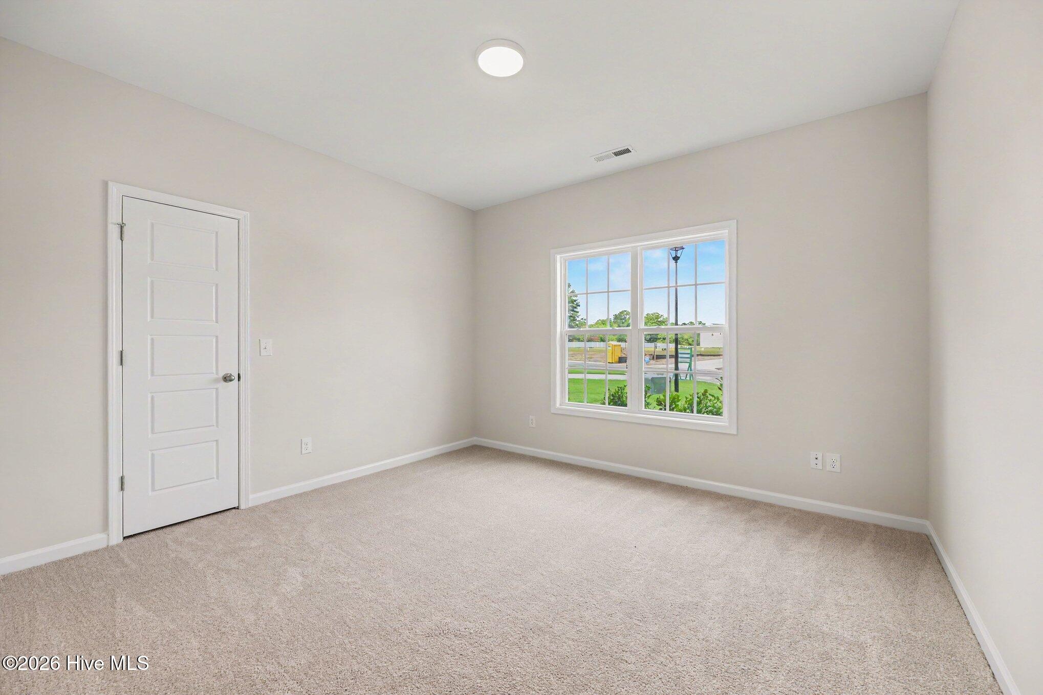 46 Fiddleneck Court Property Photo 19
