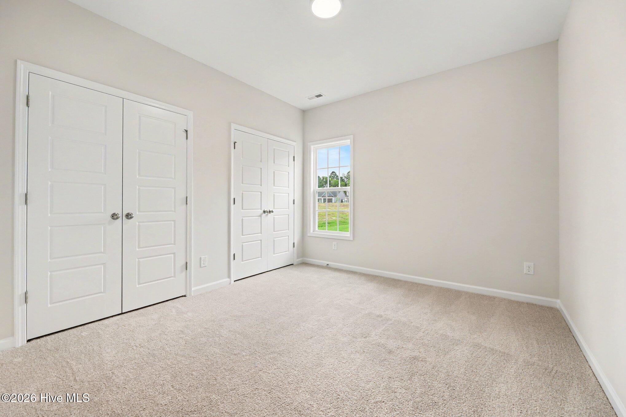 46 Fiddleneck Court Property Photo 22