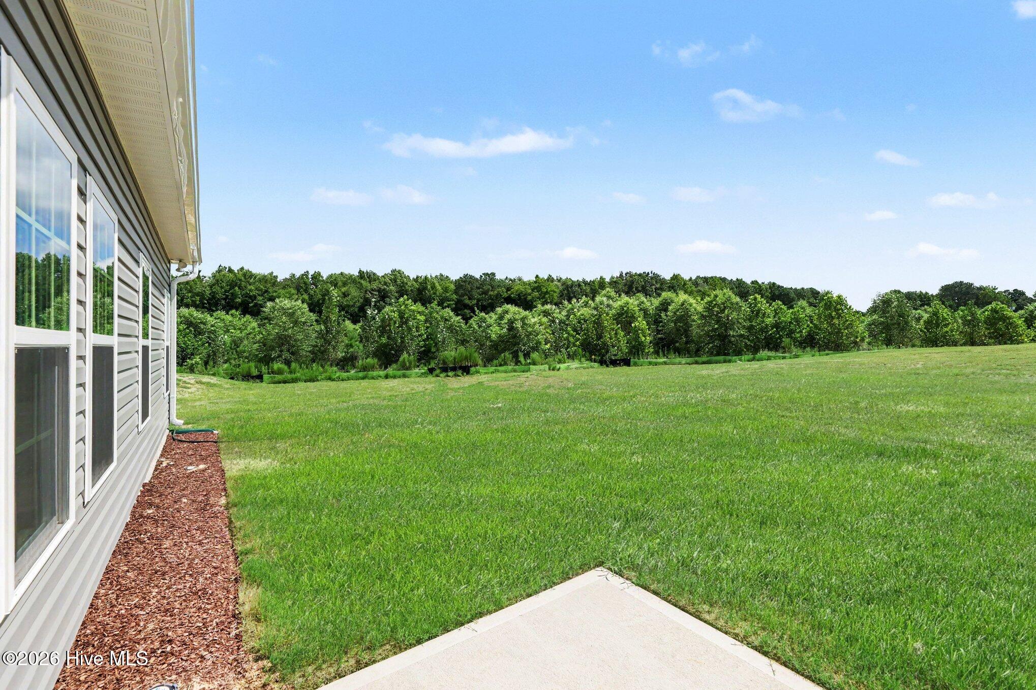 46 Fiddleneck Court Property Photo 27