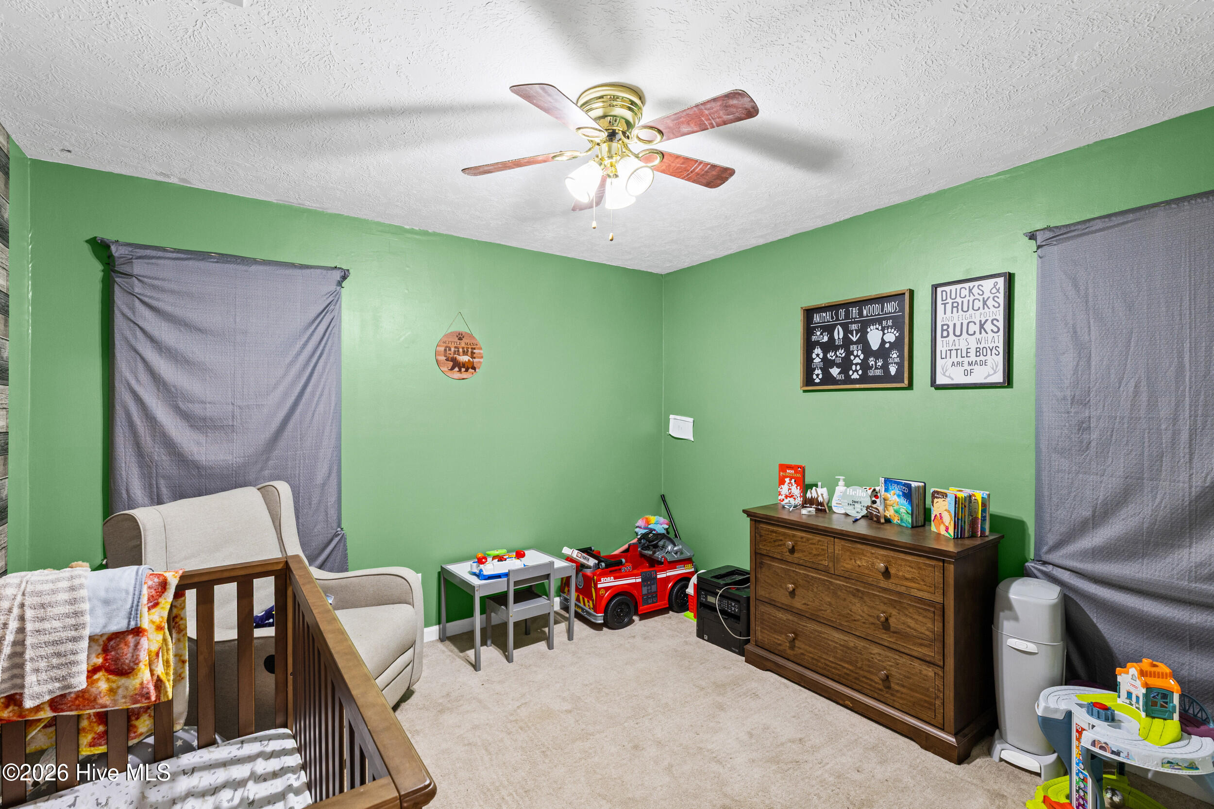 450 Mcintosh Drive Property Photo 17