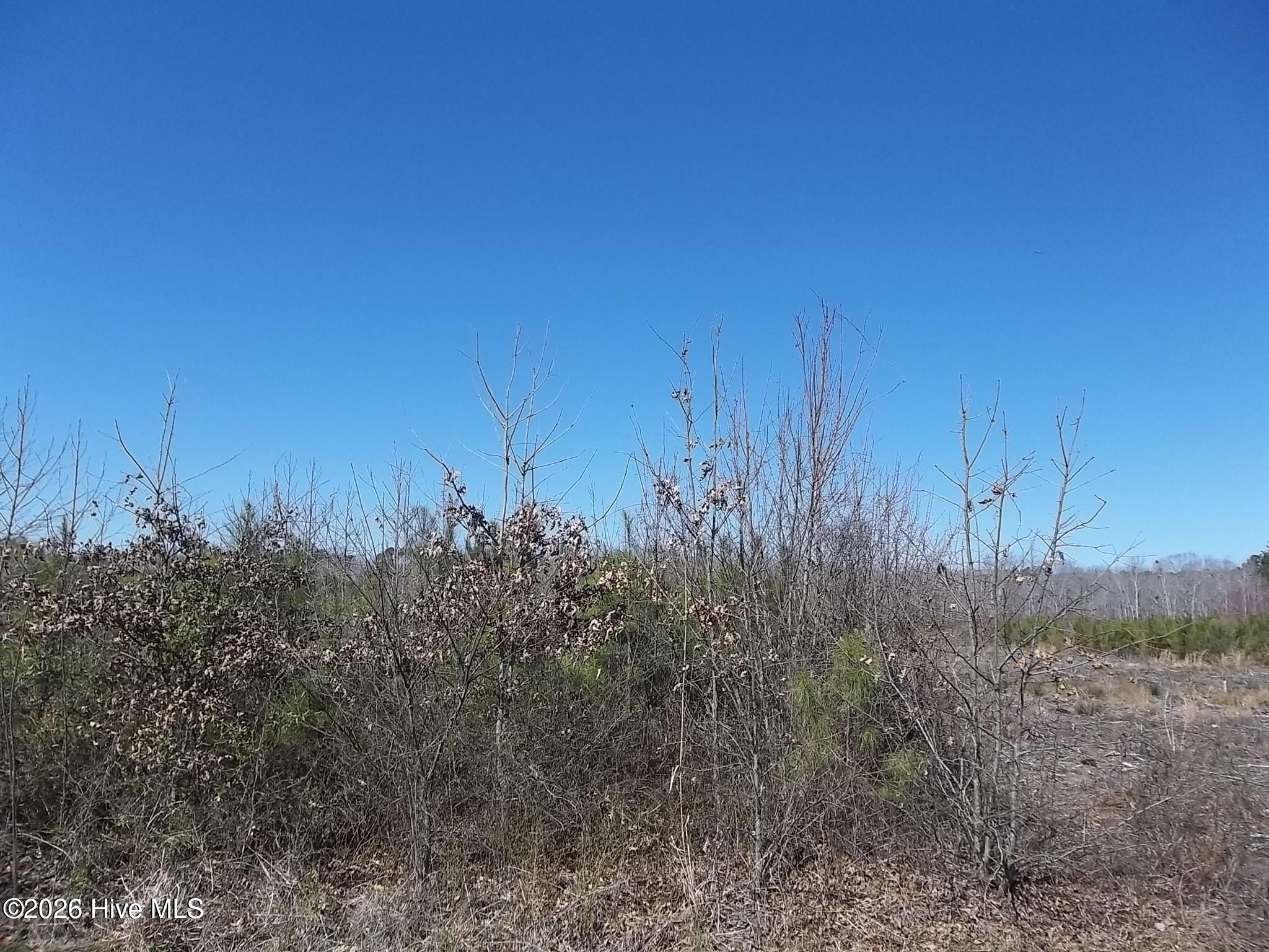 Tbd 5 Boat Ramp Road Property Photo 2