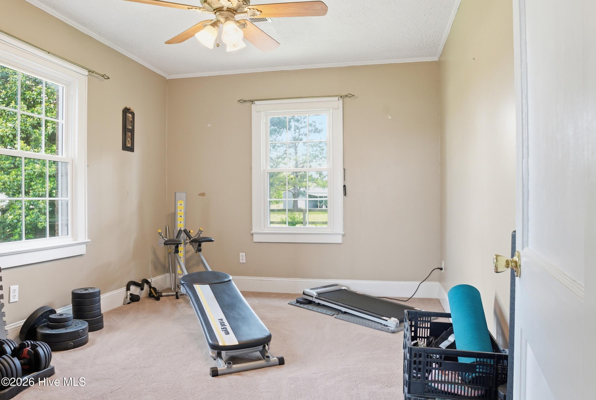 22 Hackley Road Property Photo 19