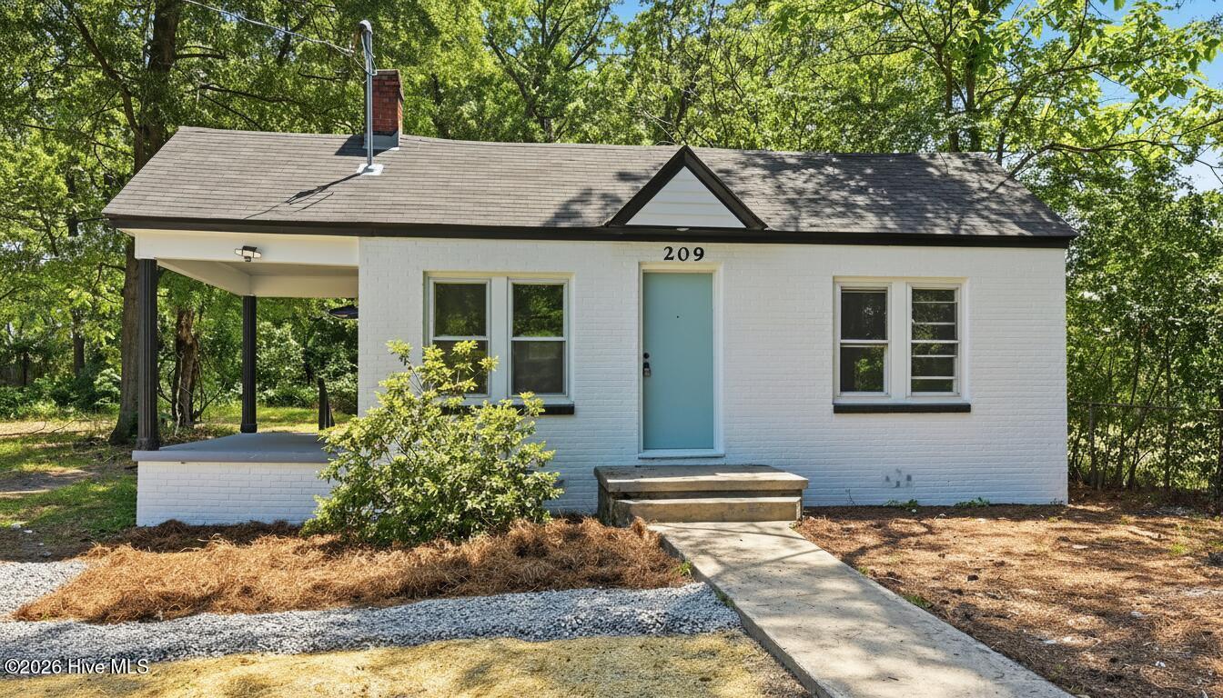 209 Hendricks Street Property Photo 1