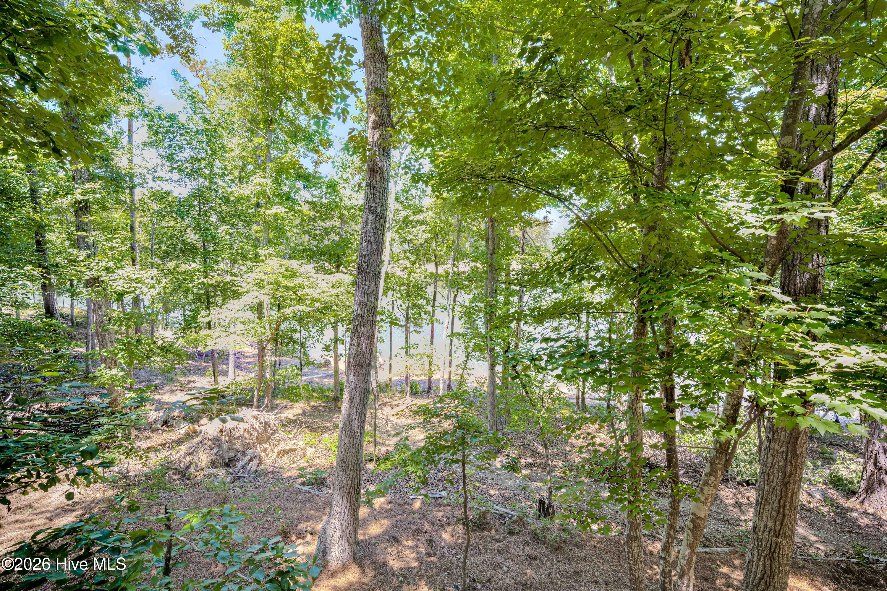 201 Rhett Drive Property Photo 86