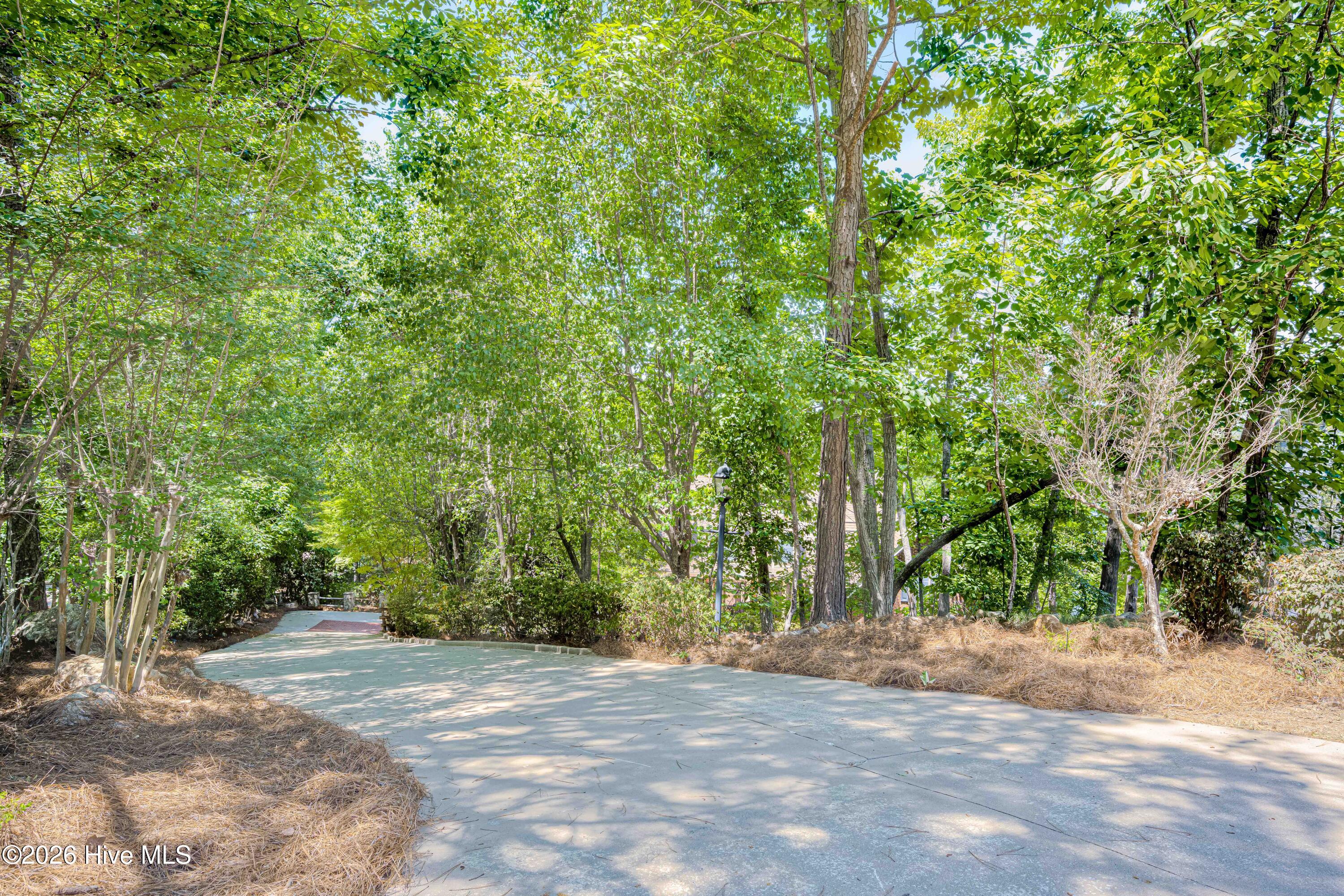 201 Rhett Drive Property Photo 97