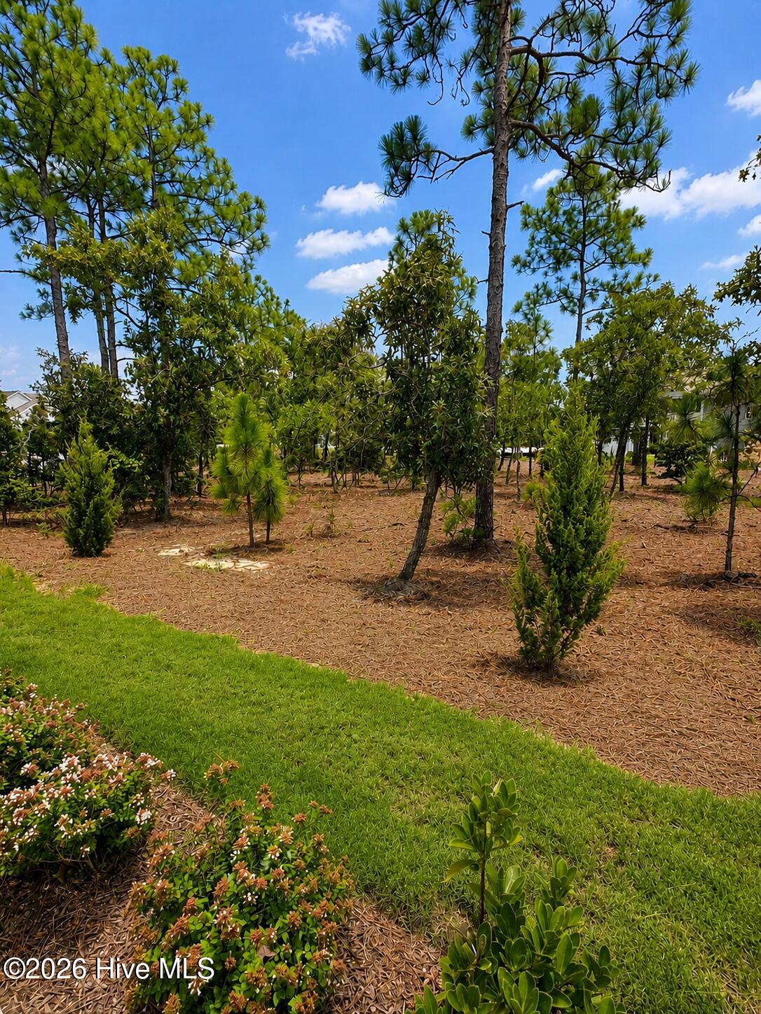 5636 Coral Tide Avenue Property Photo 28