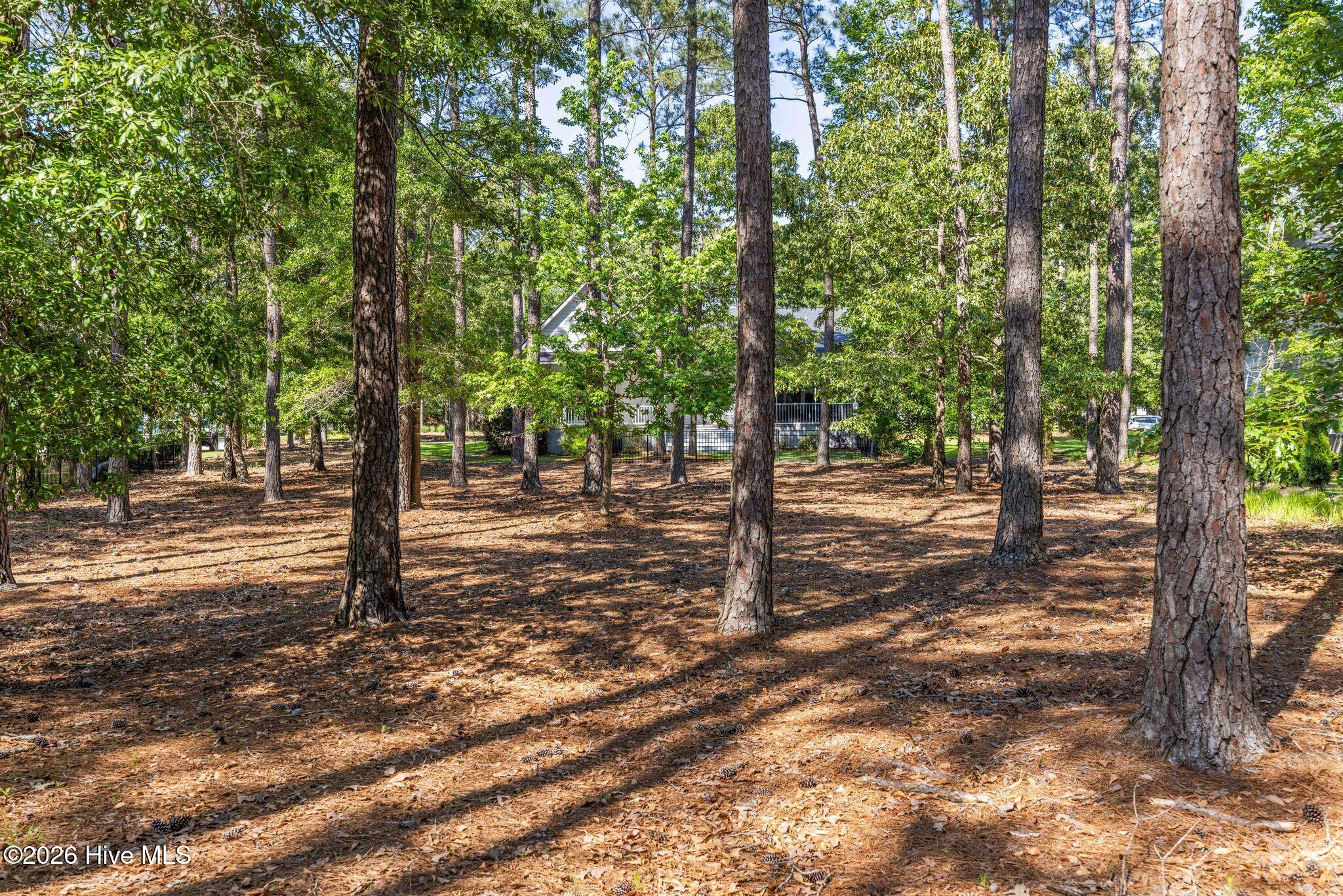 539 Long Meadow Drive Se Property Photo 53