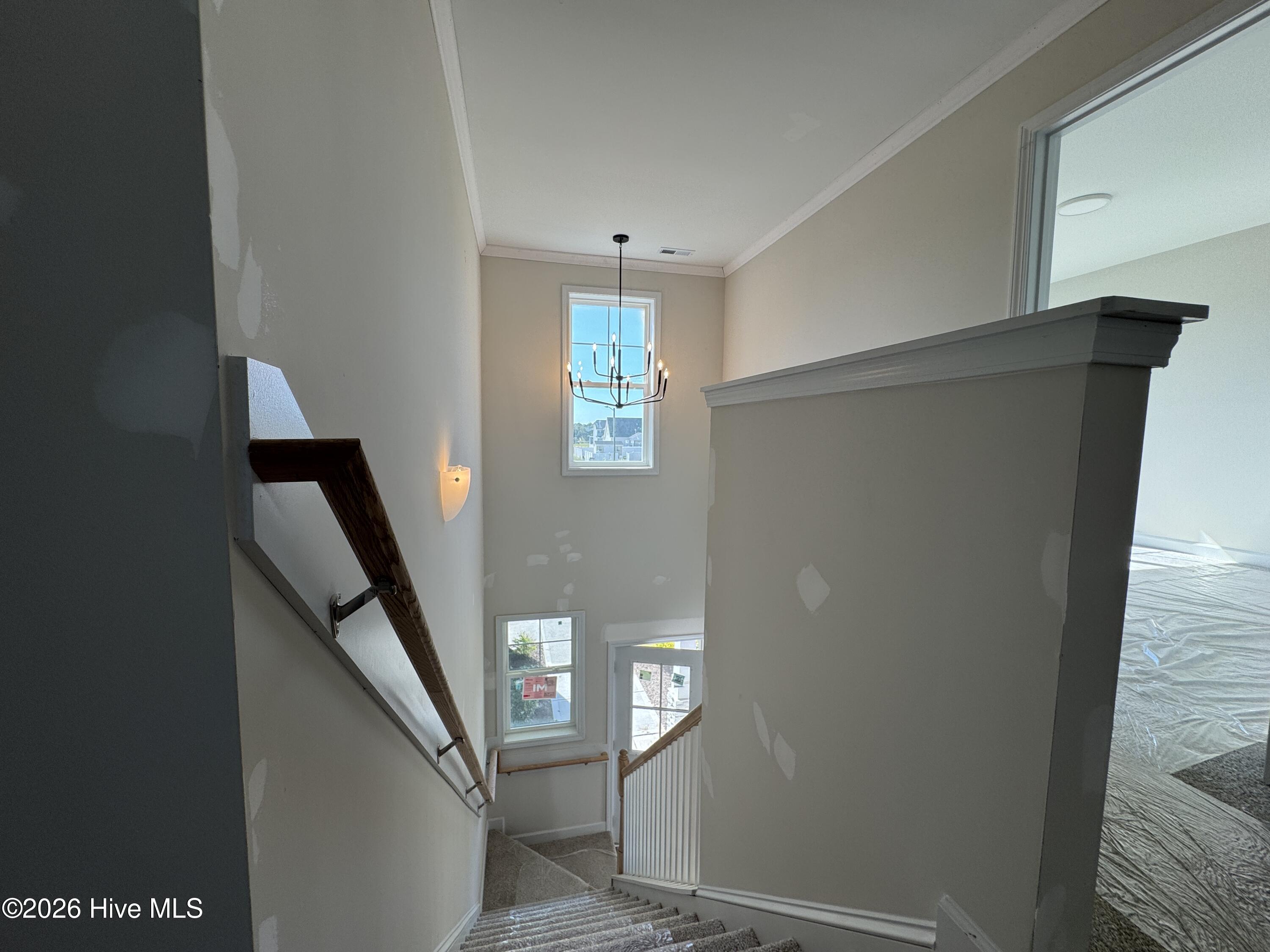 104 Lola Place (lot 20) Property Photo 22