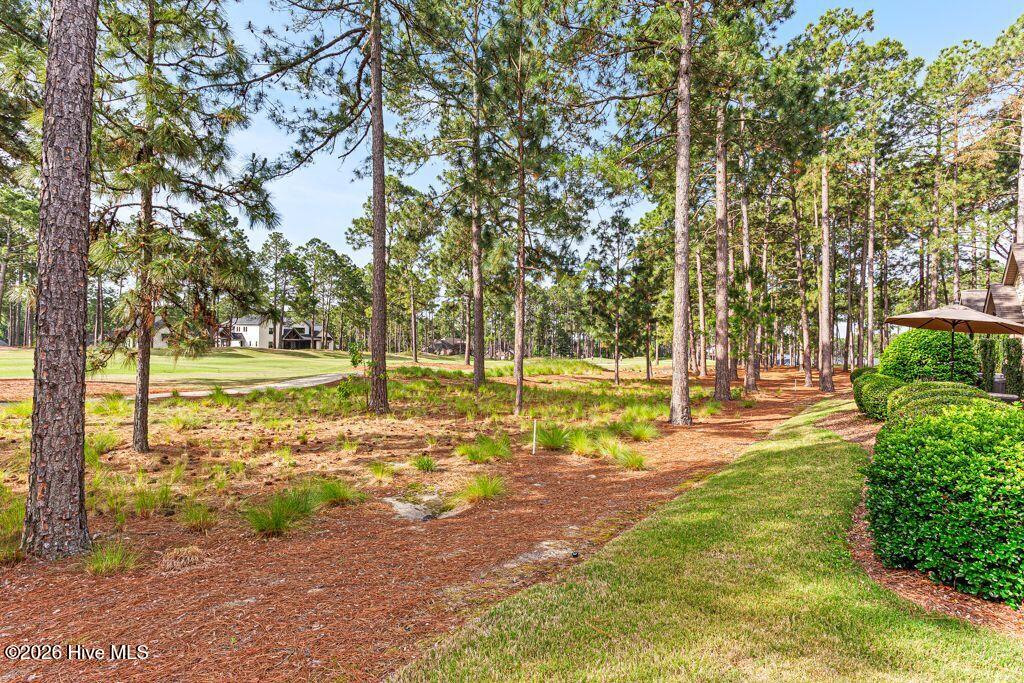109 Essex Place Property Photo 31