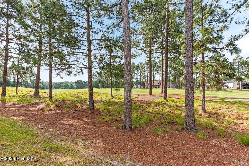 109 Essex Place Property Photo 32