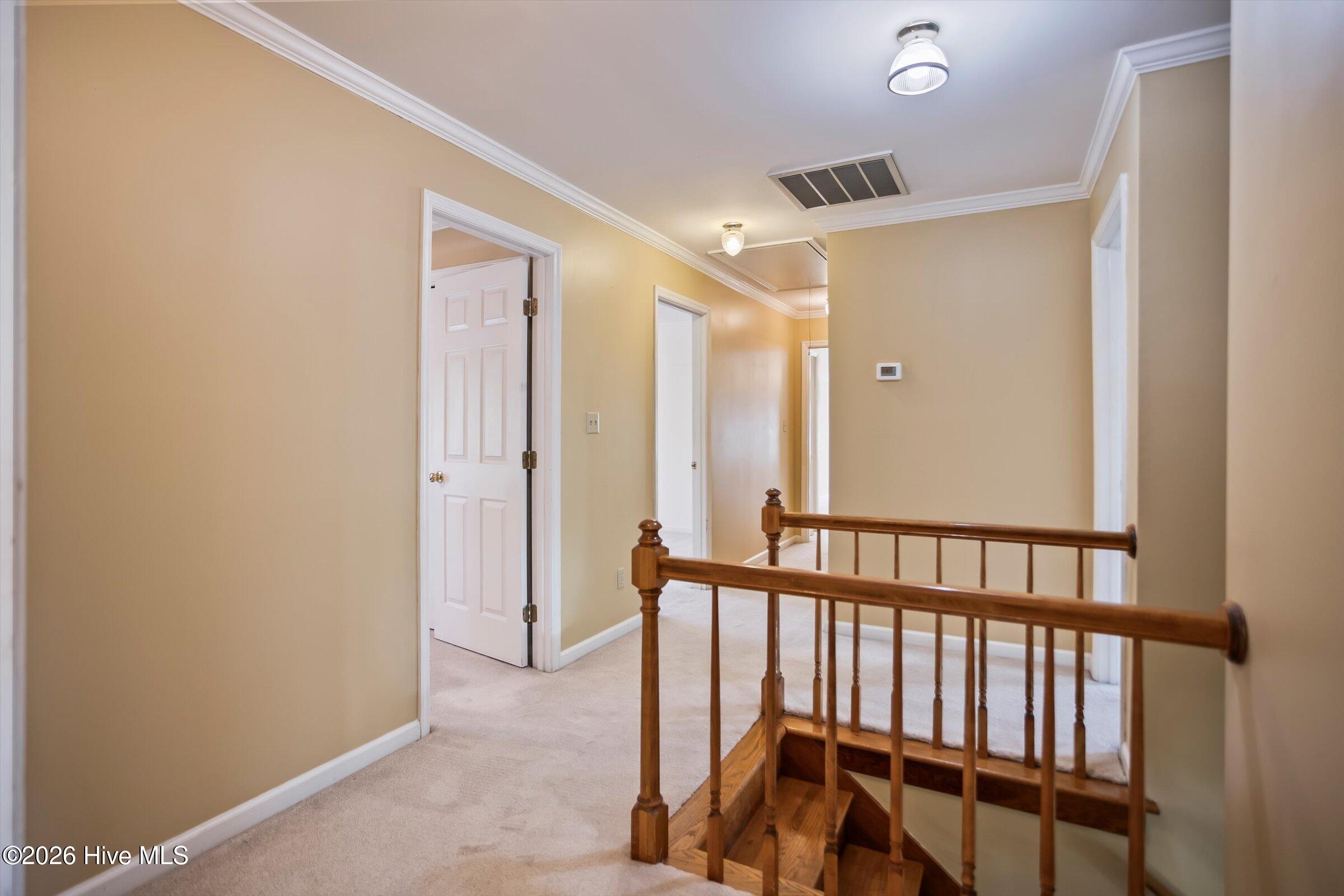 853 Sparkleberry Road Property Photo 49