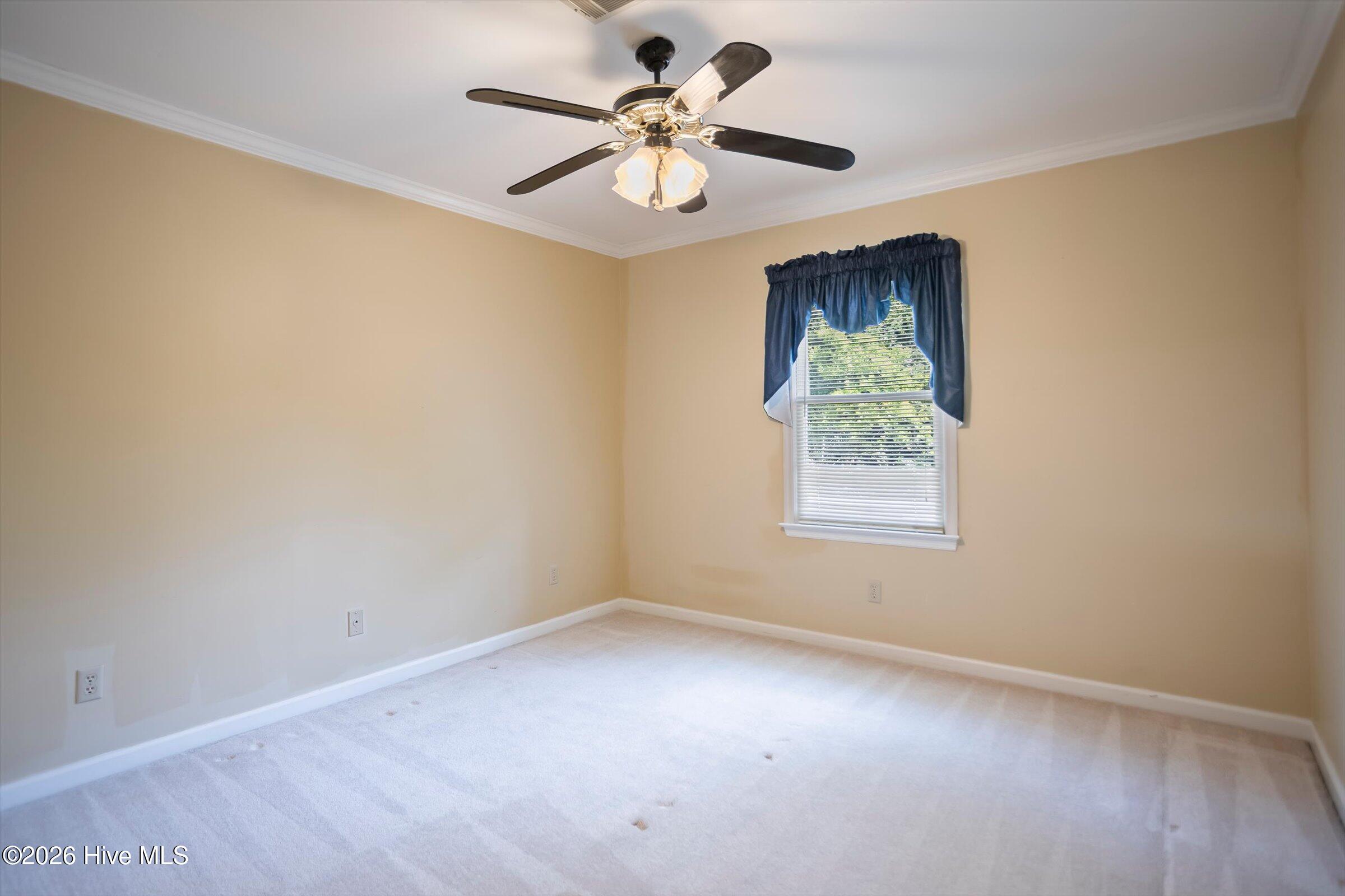 853 Sparkleberry Road Property Photo 50