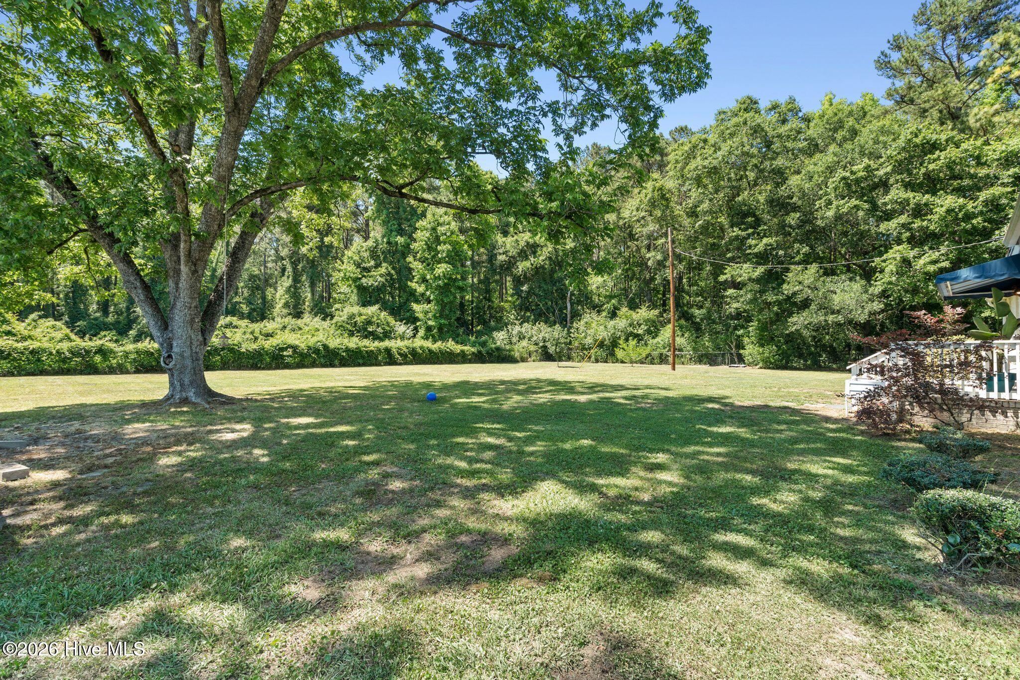13290 New Britton Highway E Property Photo 54