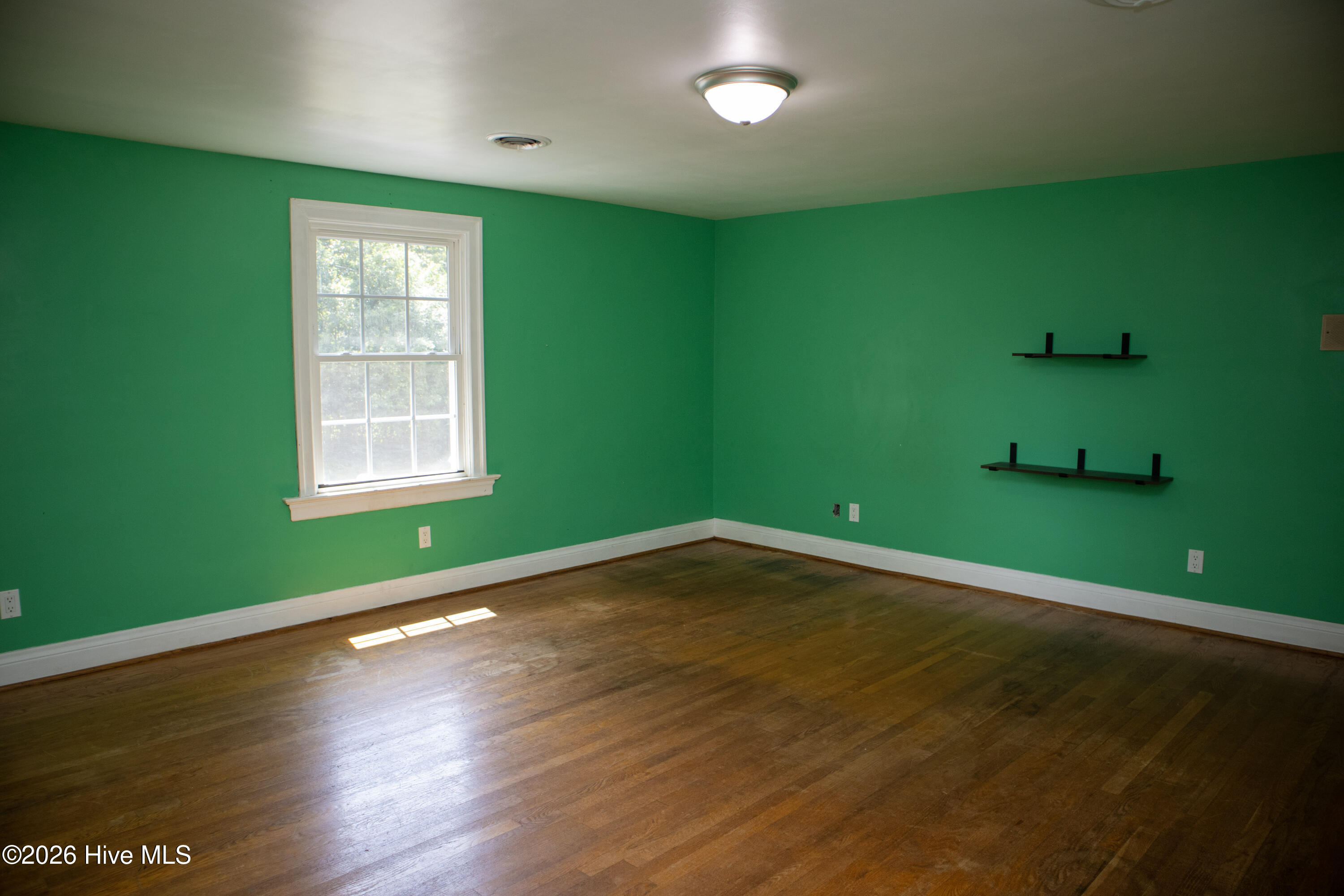 119 Watson Street Property Photo 30