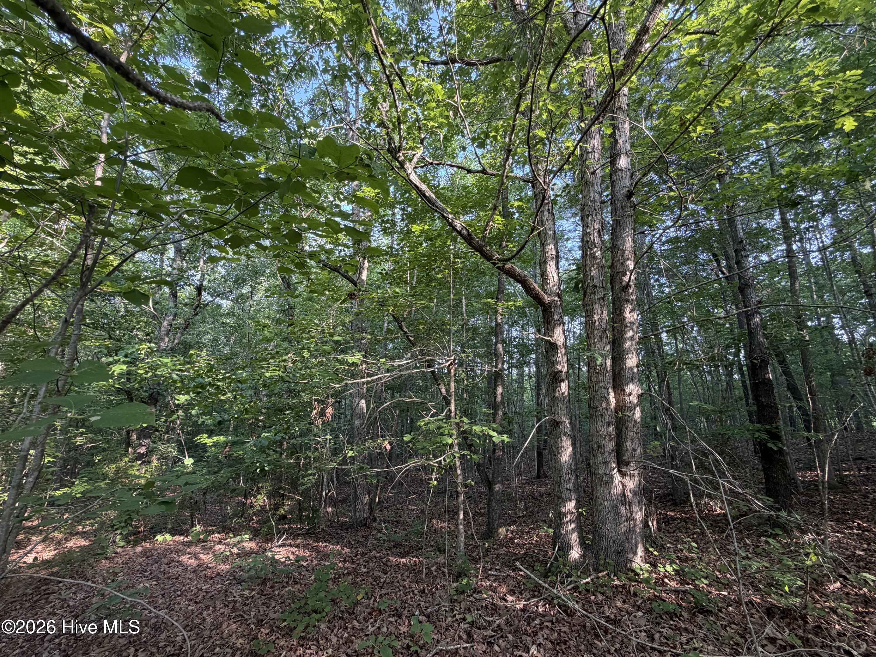 150 28 Watsons Way Property Photo 3