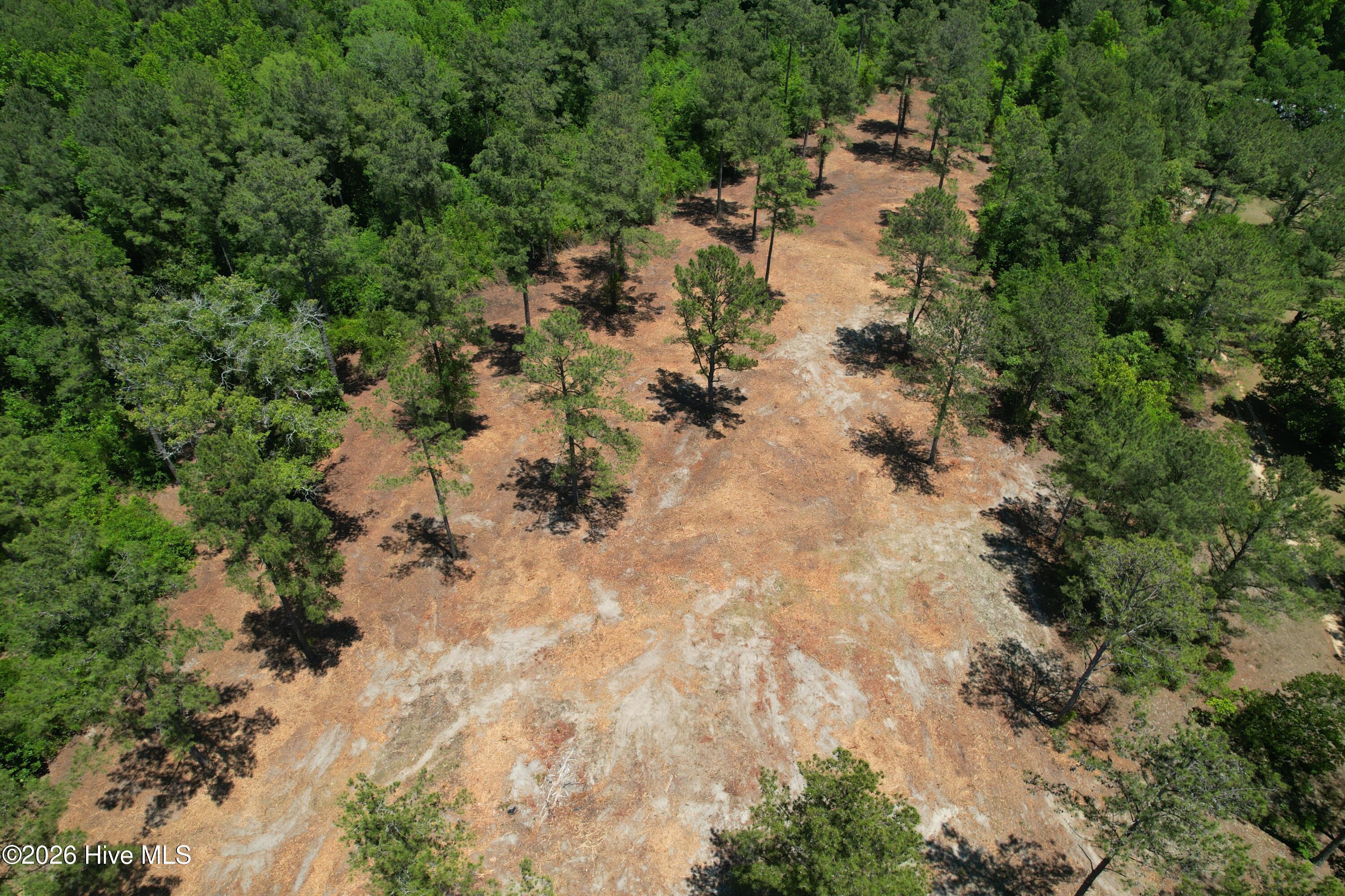 Sr 1323 Dowd Dairy Road Property Photo 9