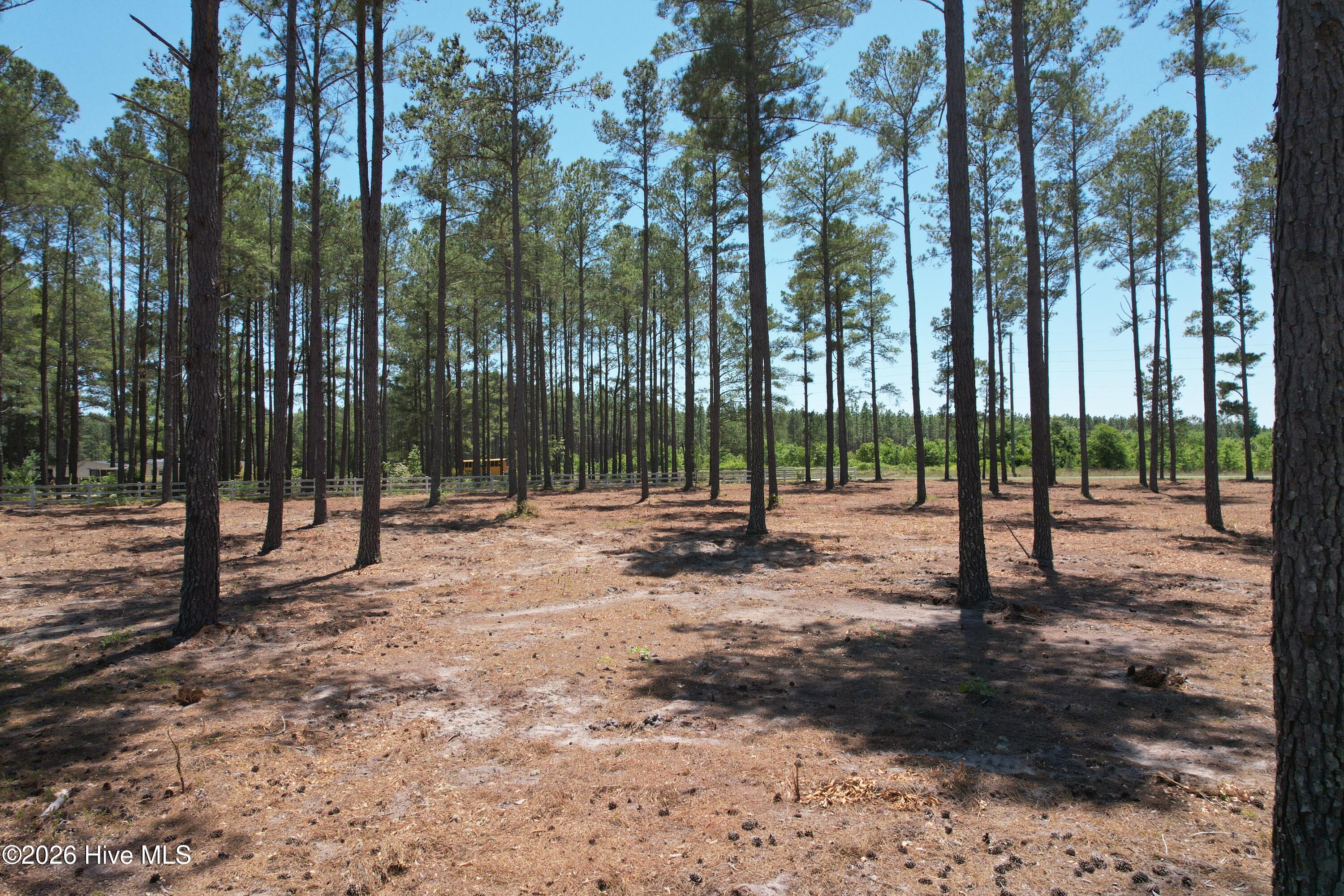 Sr 1323 Dowd Dairy Road Property Photo 12