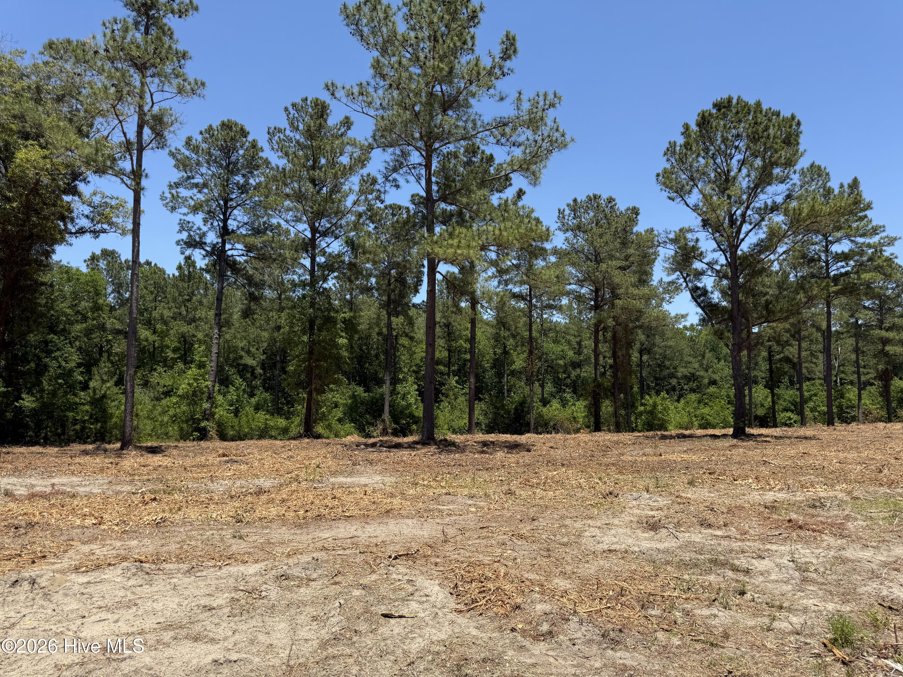 Sr 1323 Dowd Dairy Road Property Photo 13