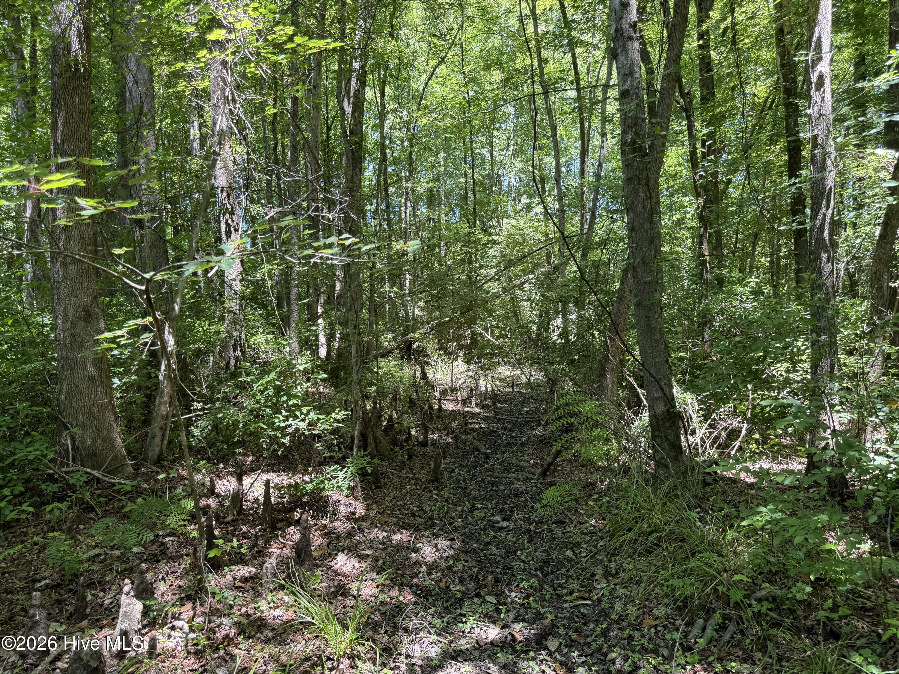 Sr 1323 Dowd Dairy Road Property Photo 14