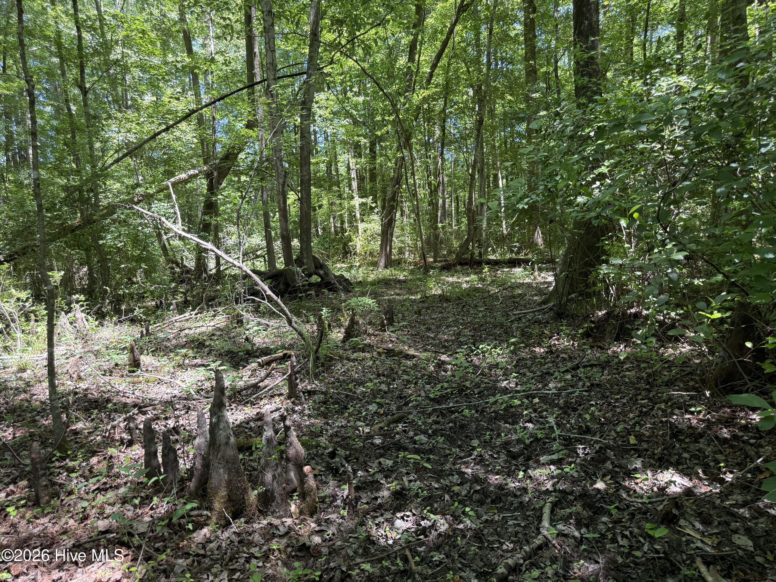Sr 1323 Dowd Dairy Road Property Photo 15