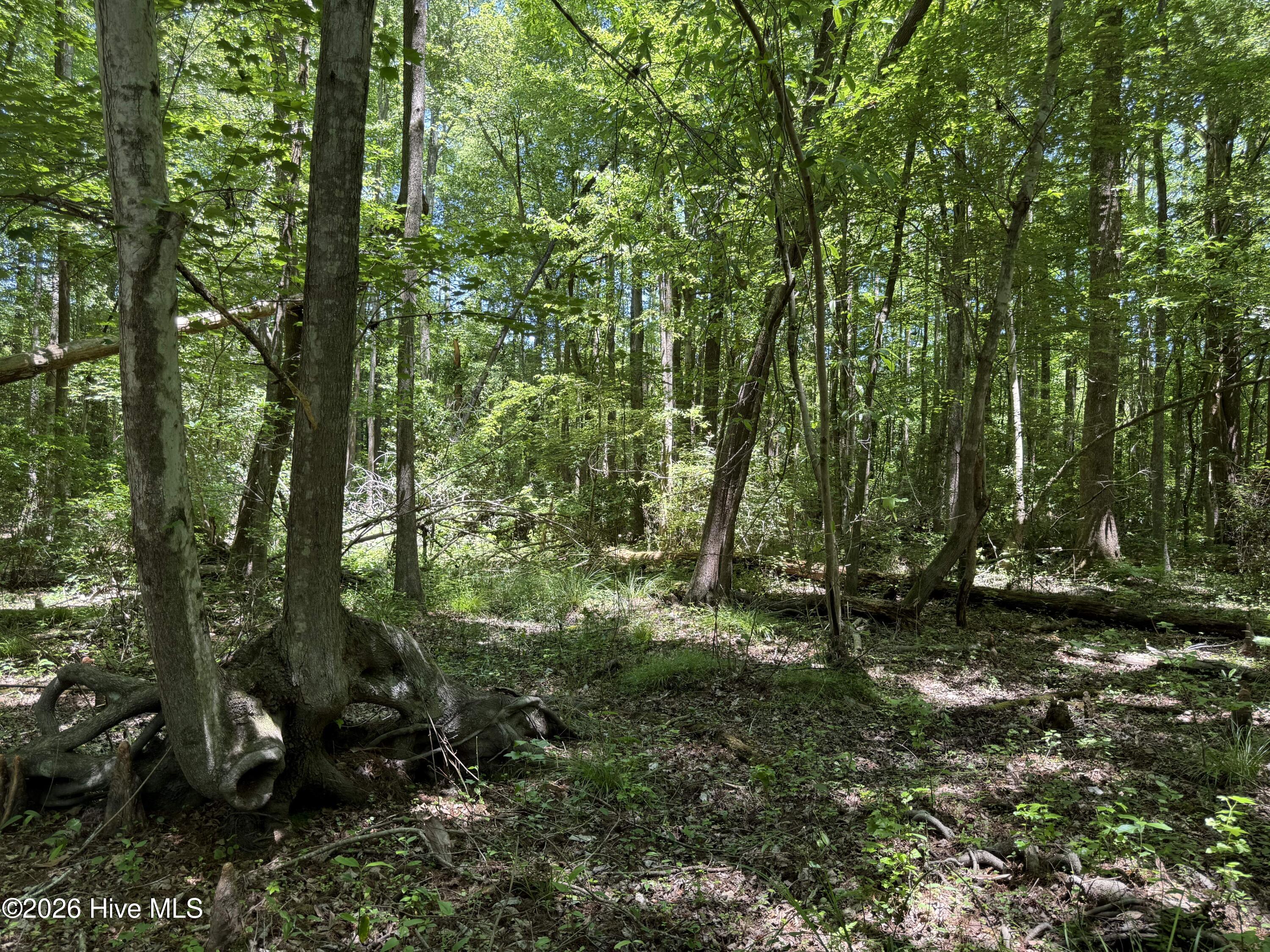 Sr 1323 Dowd Dairy Road Property Photo 16