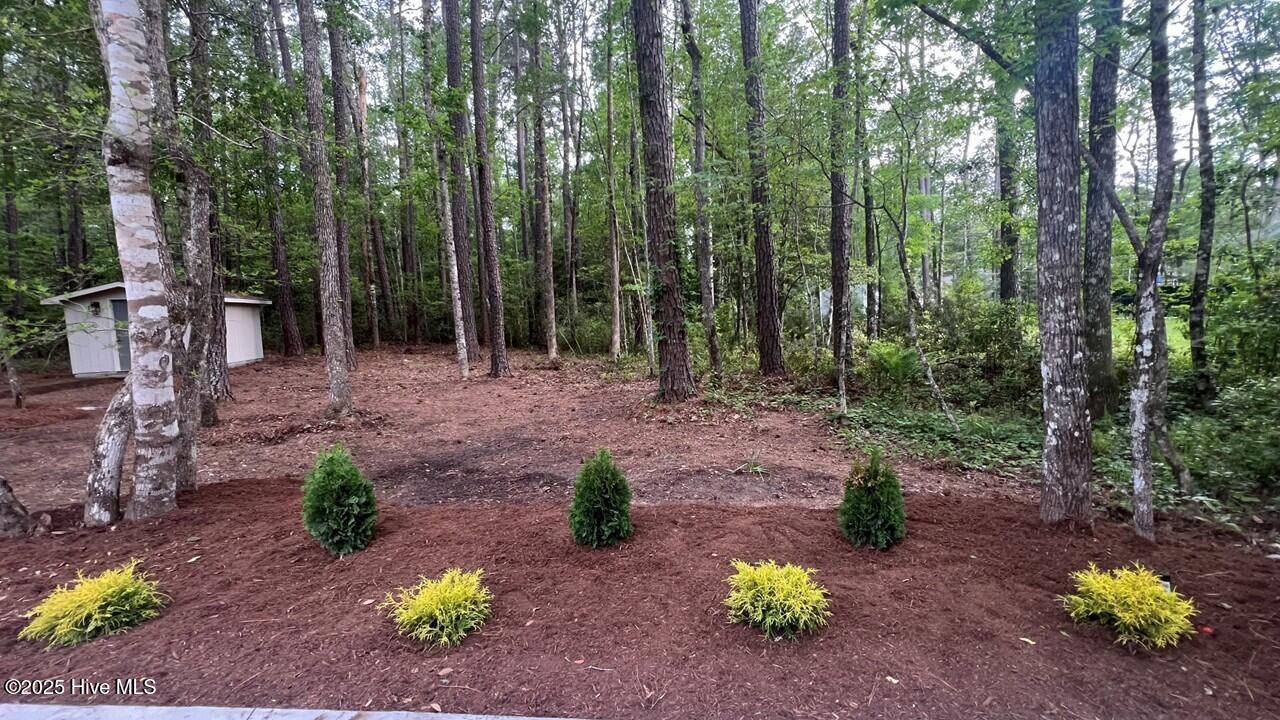 20 Sunfield Drive Property Photo 5