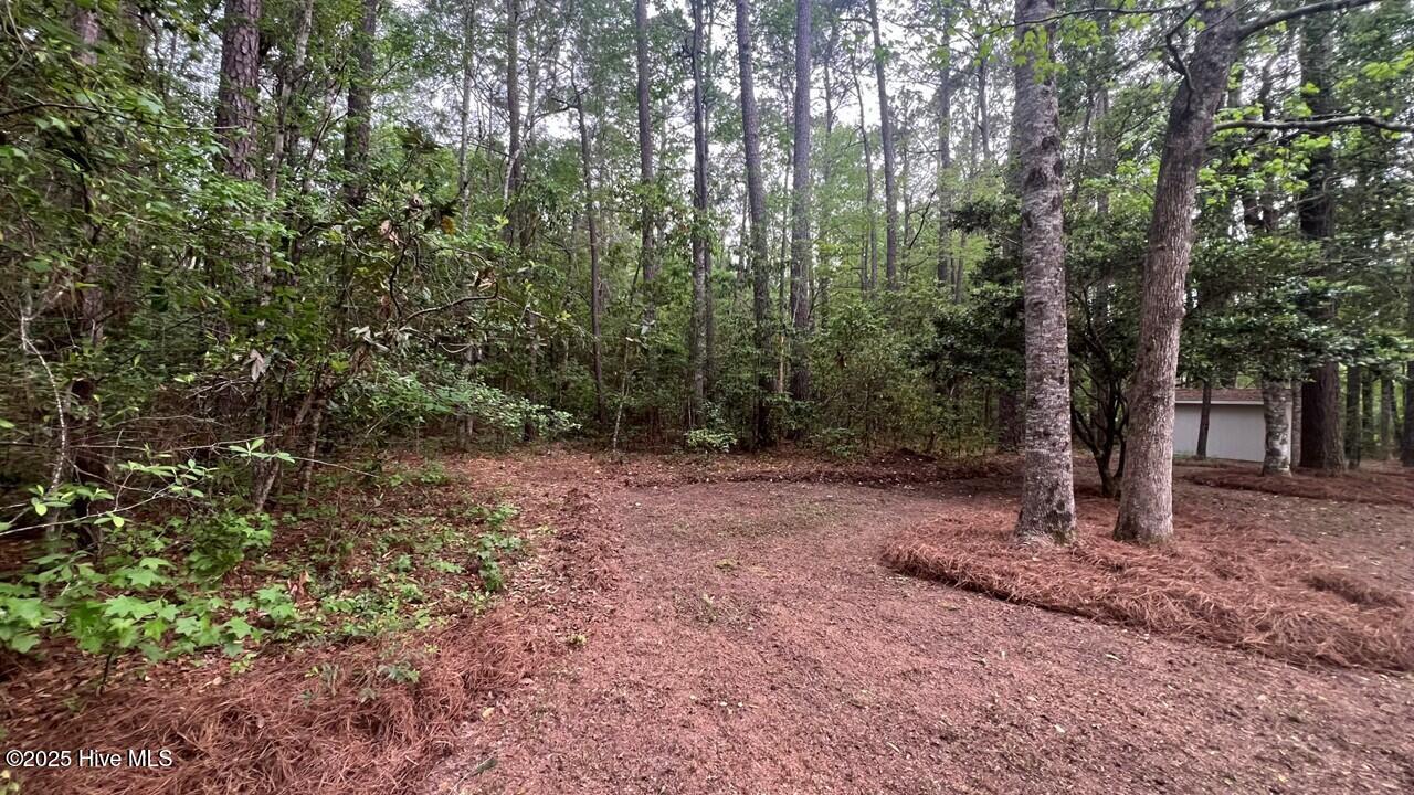 20 Sunfield Drive Property Photo 54