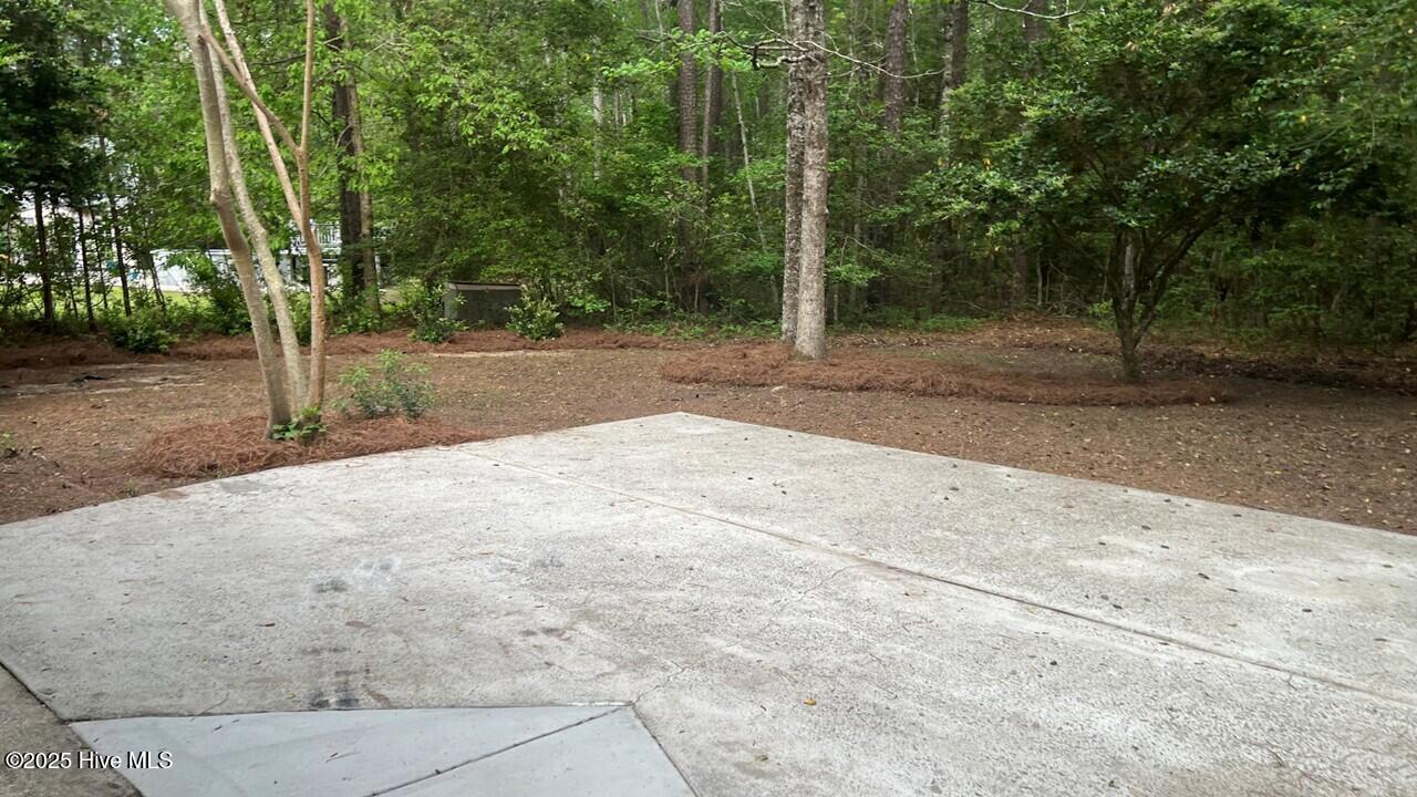 20 Sunfield Drive Property Photo 58